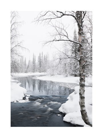 Winterliche Fotografie eines Flusses, umgeben von schneebedeckten Bäumen.