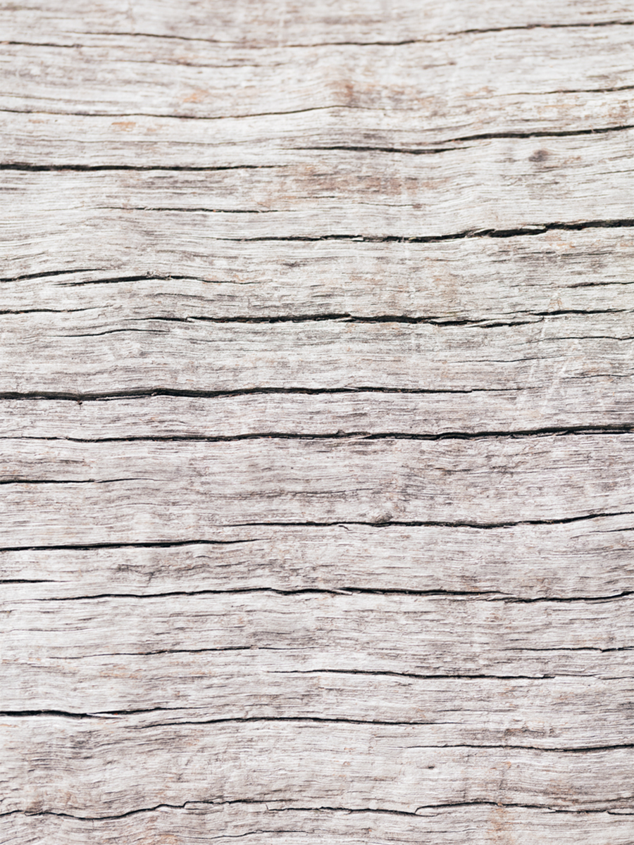 Wood Close Up Poster