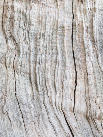 Nahaufnahme der Holztextur mit natürlichen Maserungen.
