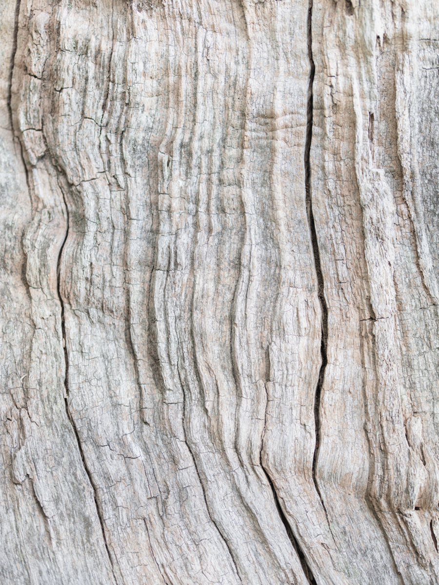 Nahaufnahme der Holztextur mit natürlichen Maserungen.