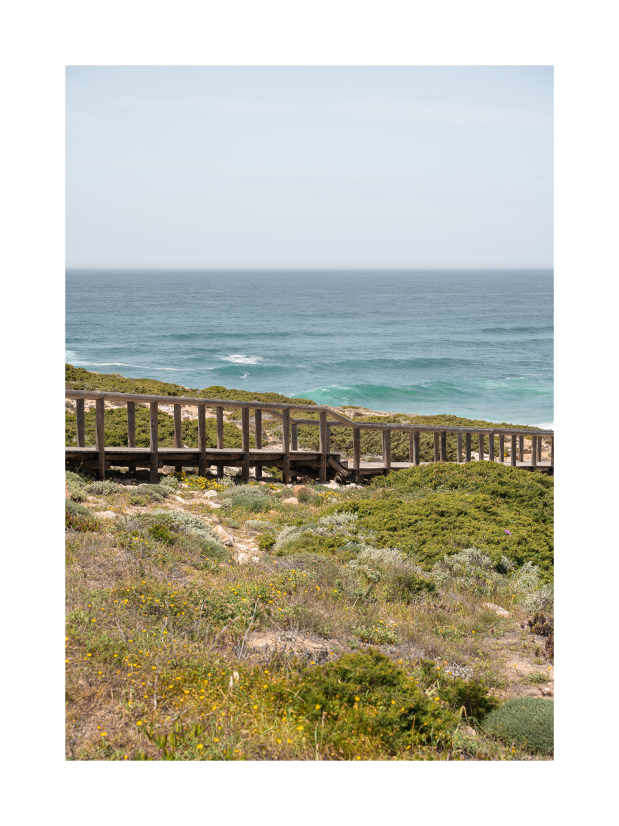 Holzsteg in einer Landschaft mit Blick auf das blaue Meer und umgeben von grünen Pflanzen.