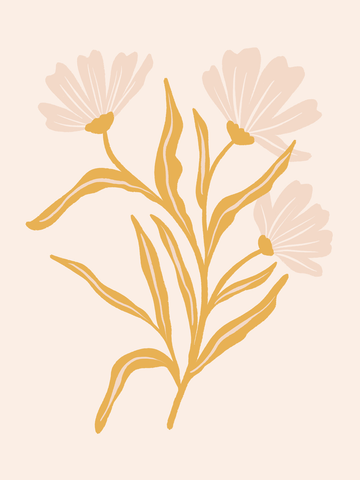 Illustration von gelben Blumen mit beigen Blüten auf einem hellbeigen Hintergrund.