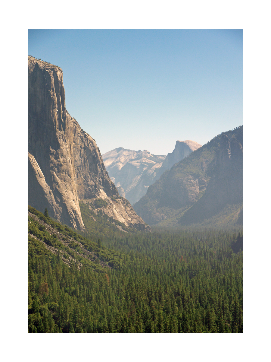 Fotografie des Yosemite Valley mit grünen Bäumen und blauen Bergen im Hintergrund.