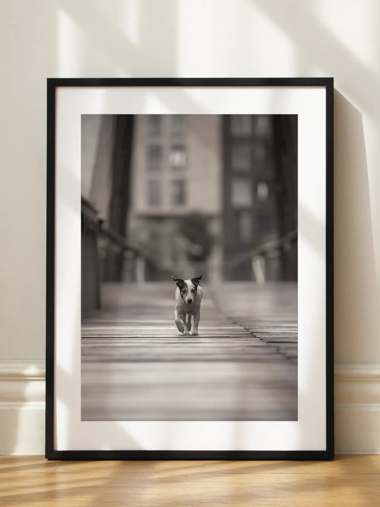 You can go your own way Poster