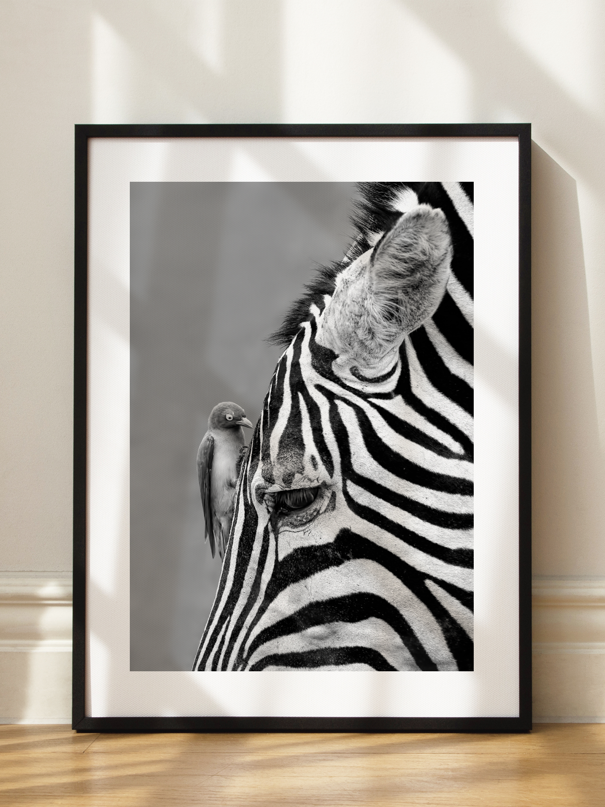 Zebra and Bird