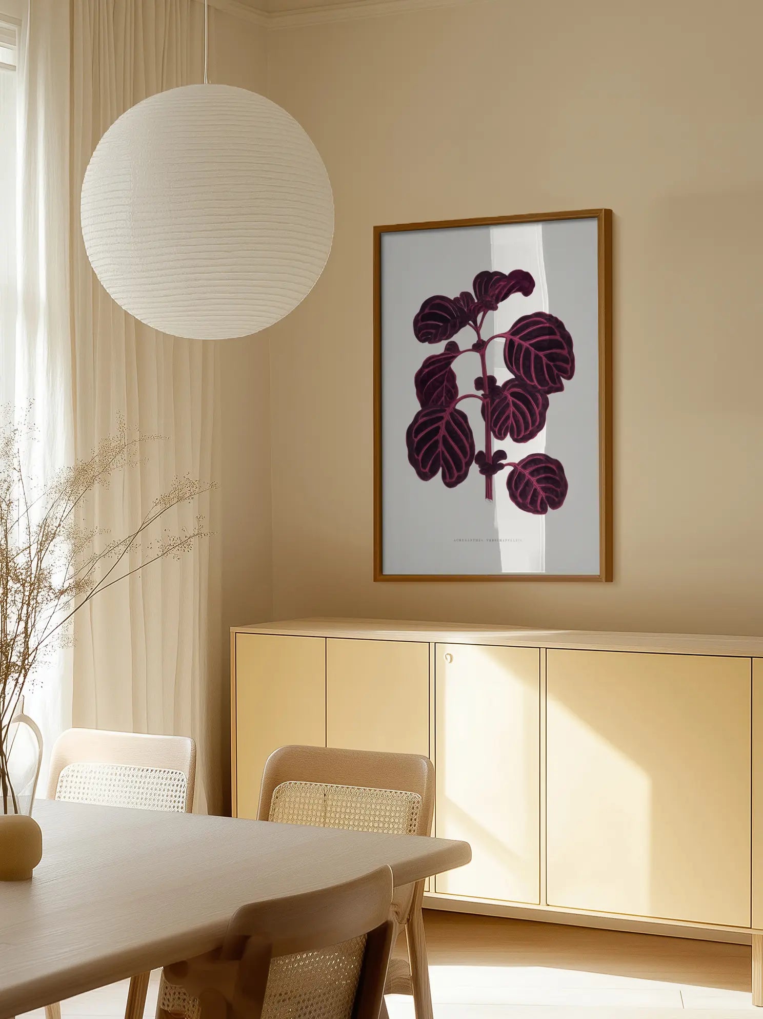 Achyranthes Verschaffeltii Poster