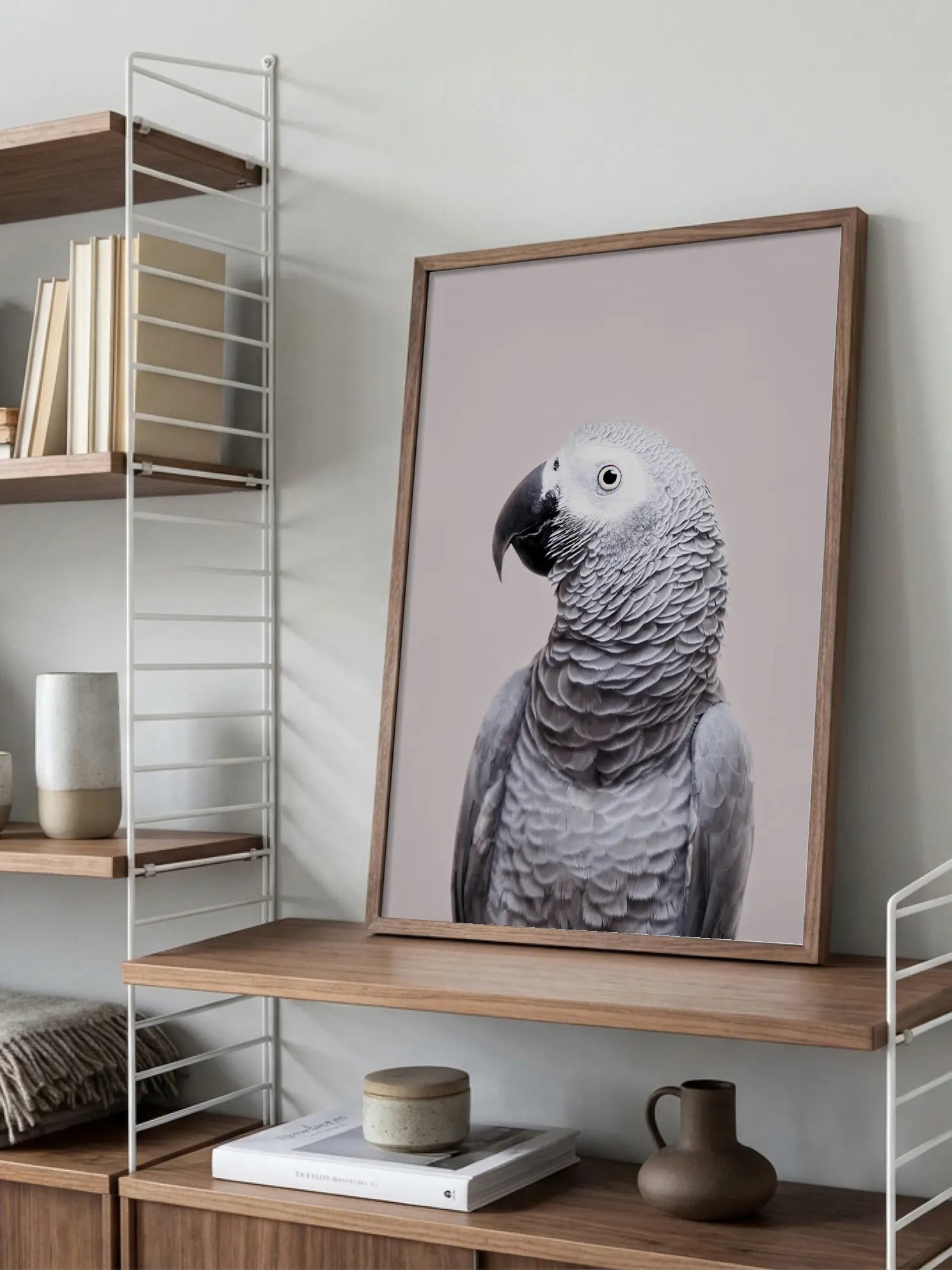 African Grey Poster