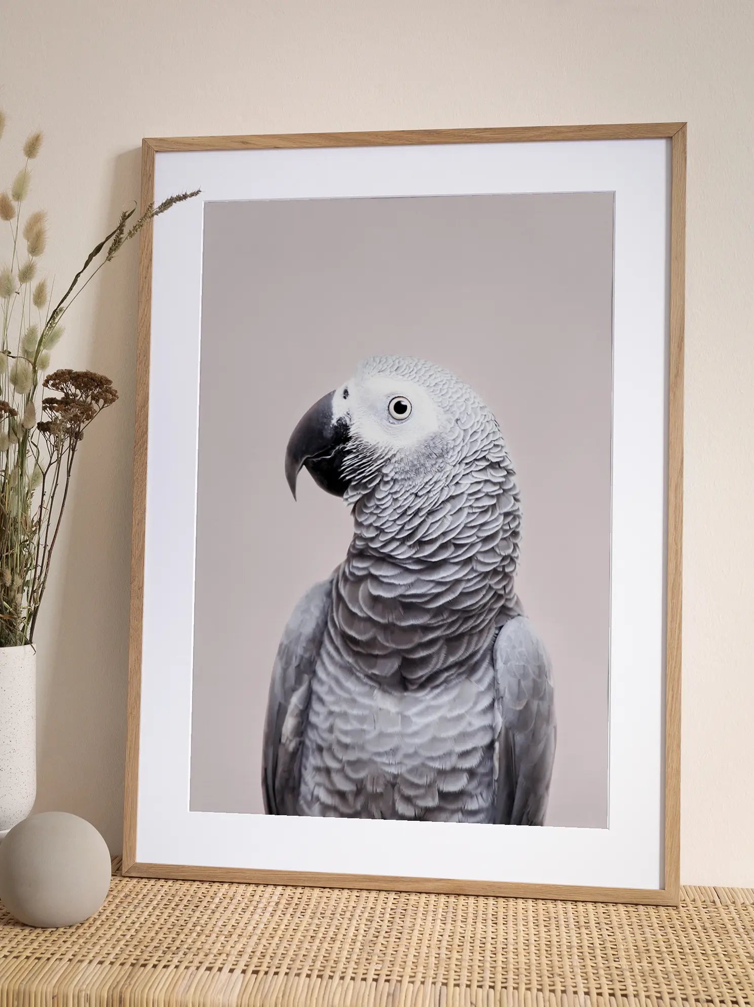 African Grey Poster