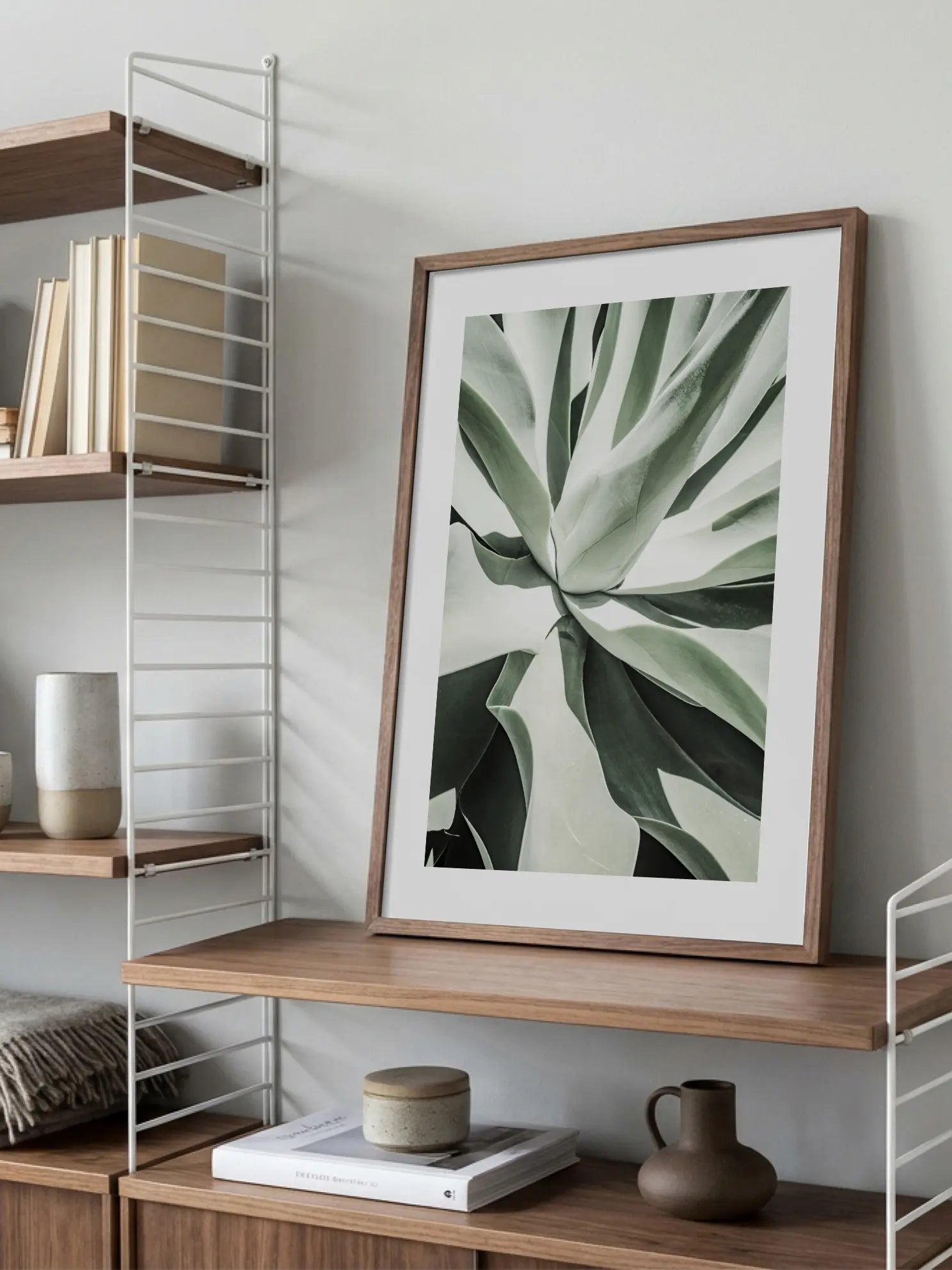 Agave Plant Poster