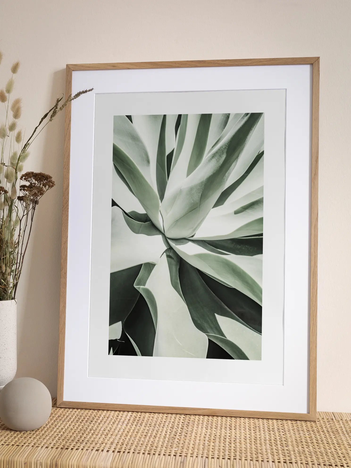 Agave Plant Poster