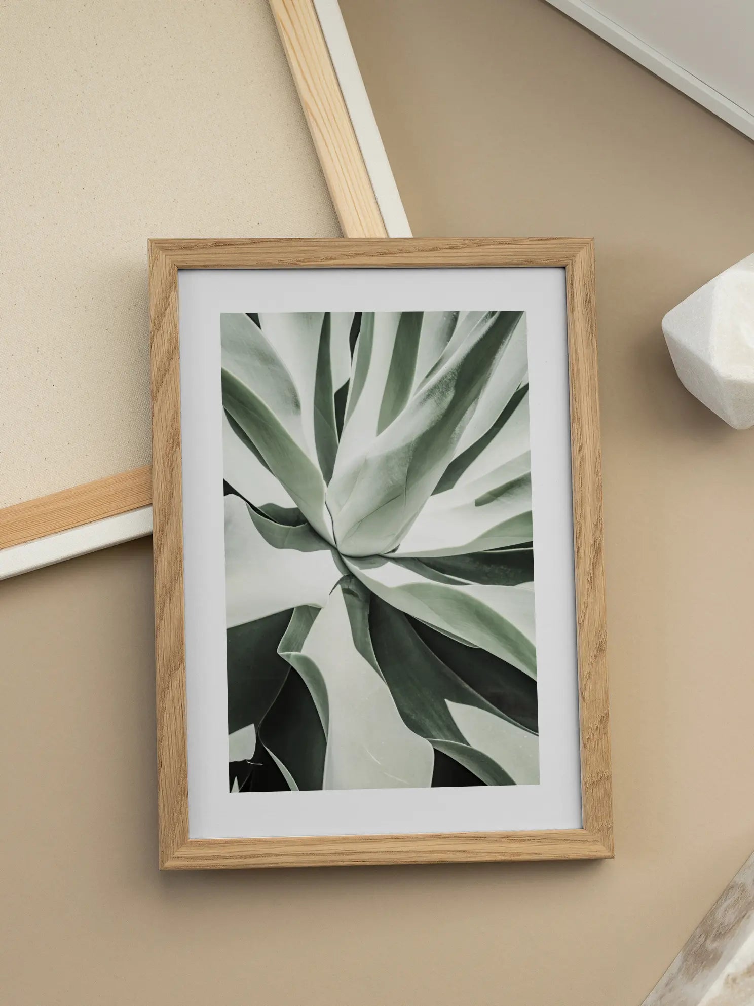 Agave Plant Poster