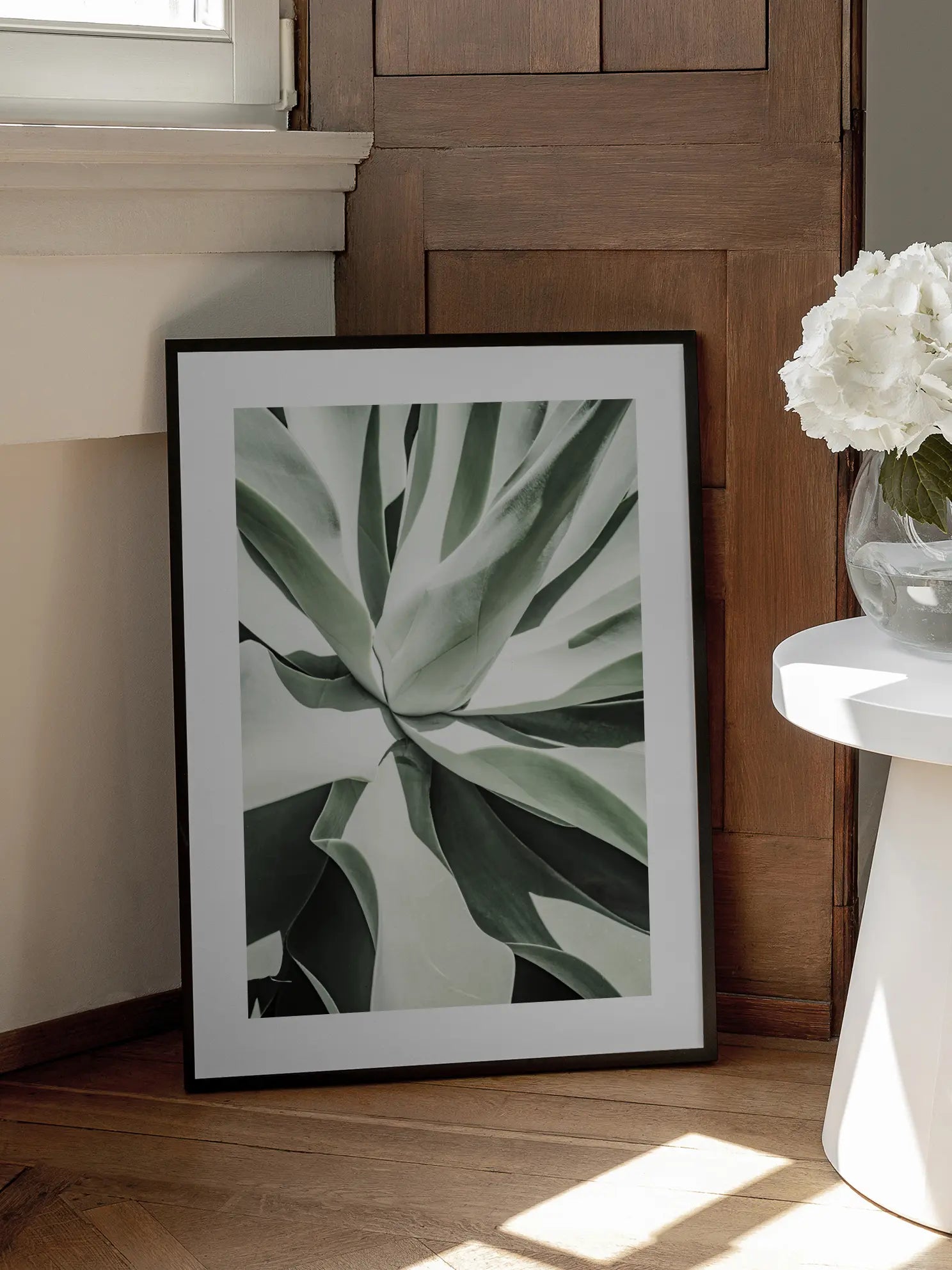 Agave Plant Poster
