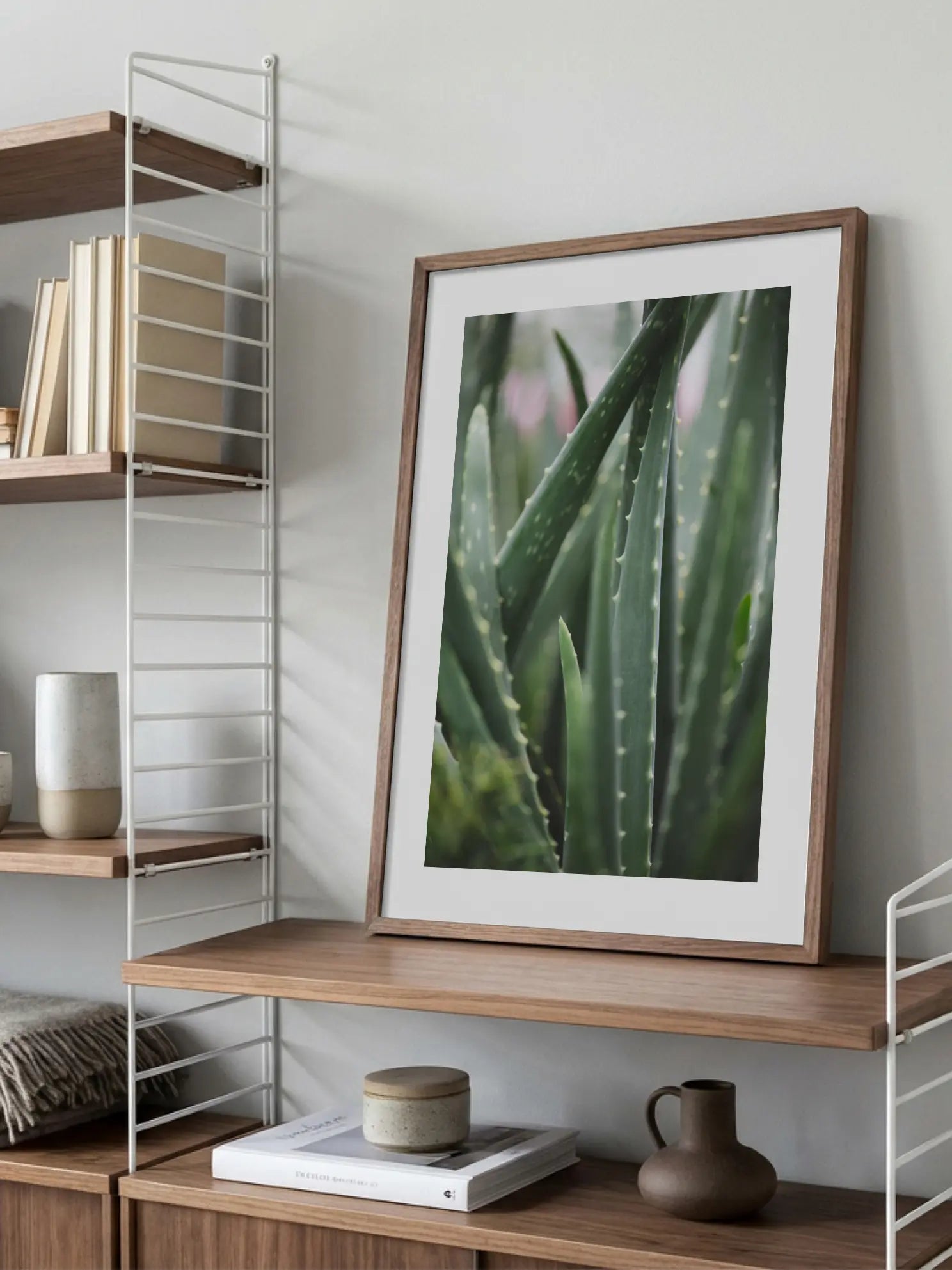 Aloe Vera Plant Poster