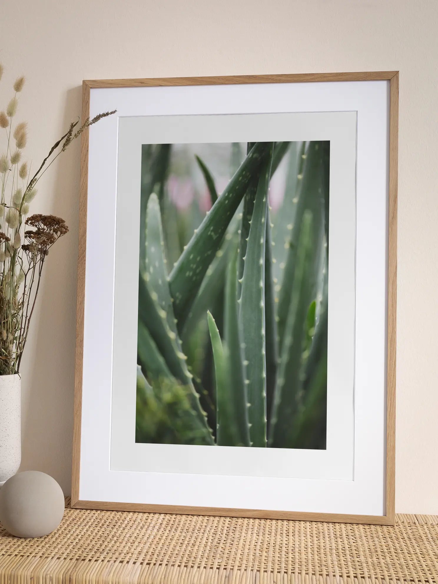 Aloe Vera Plant Poster
