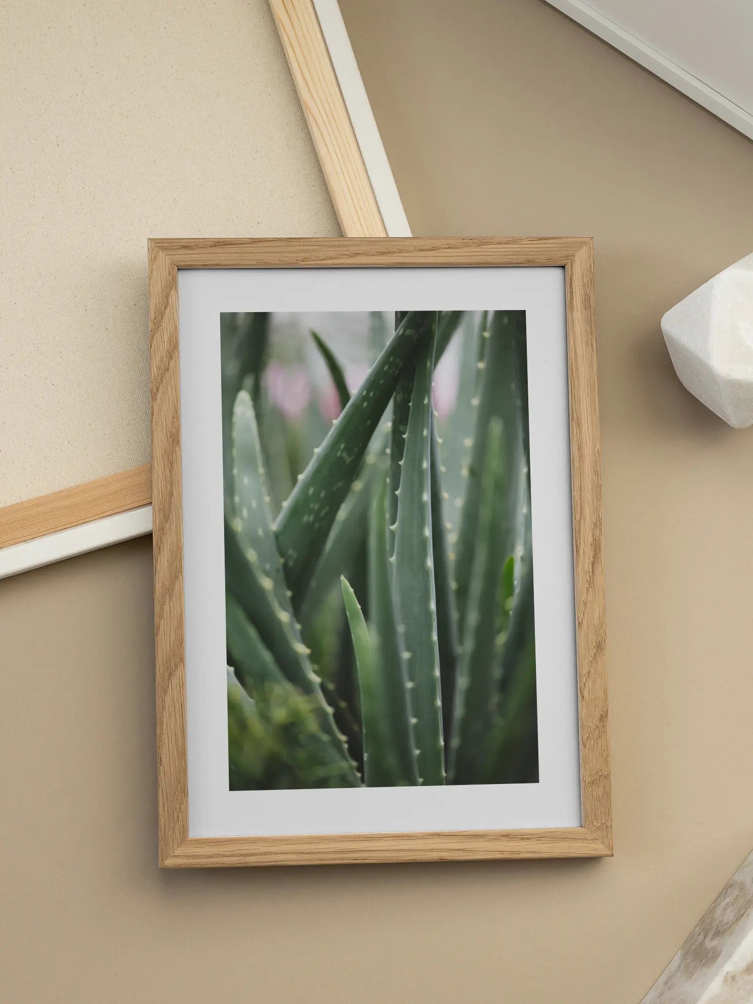 Aloe Vera Plant Poster