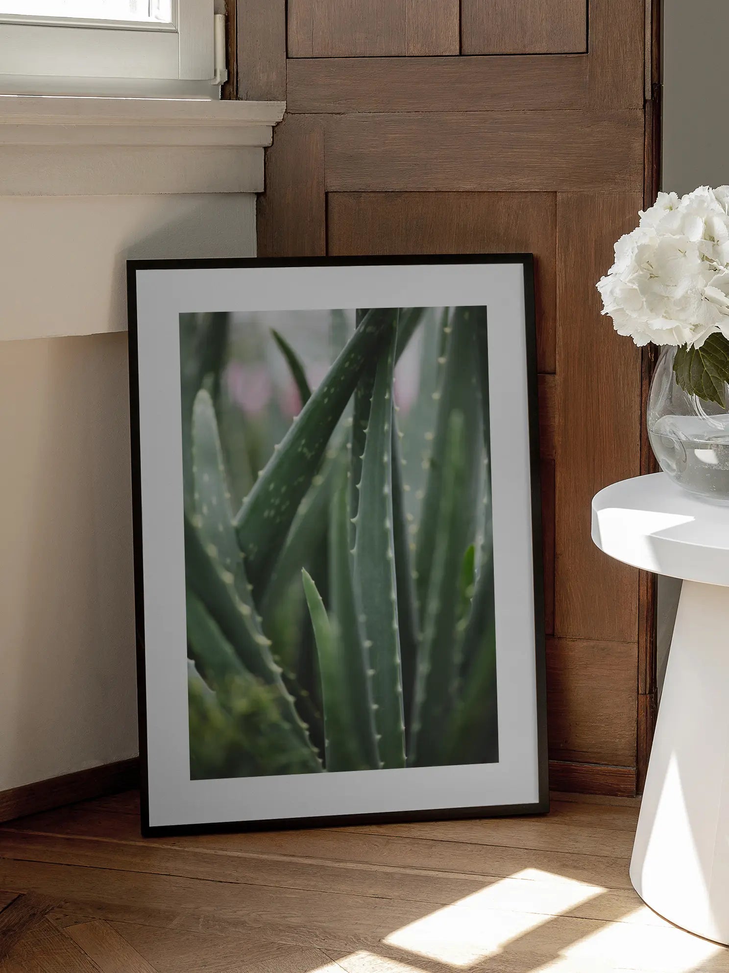 Aloe Vera Plant Poster