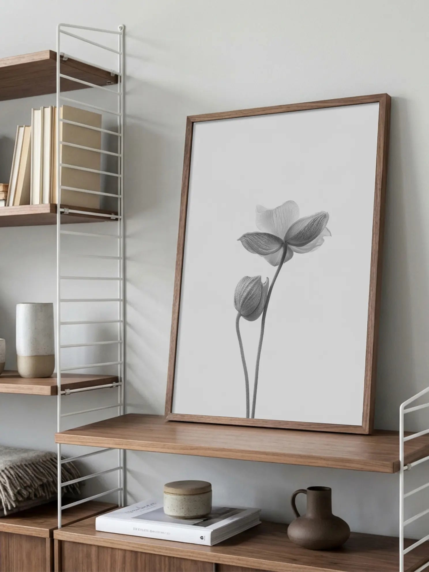 Anemone Bicolor Poster