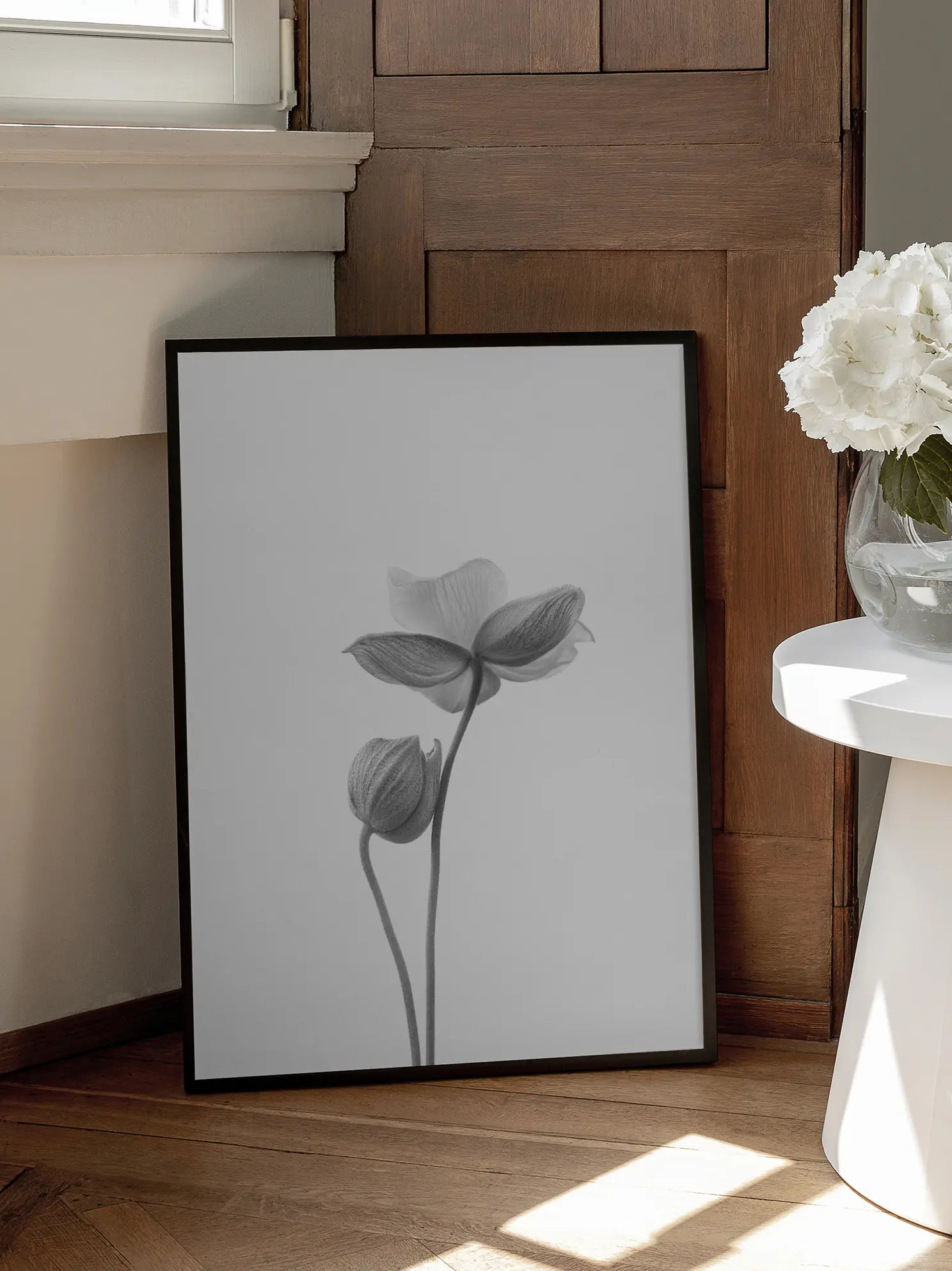 Anemone Bicolor Poster