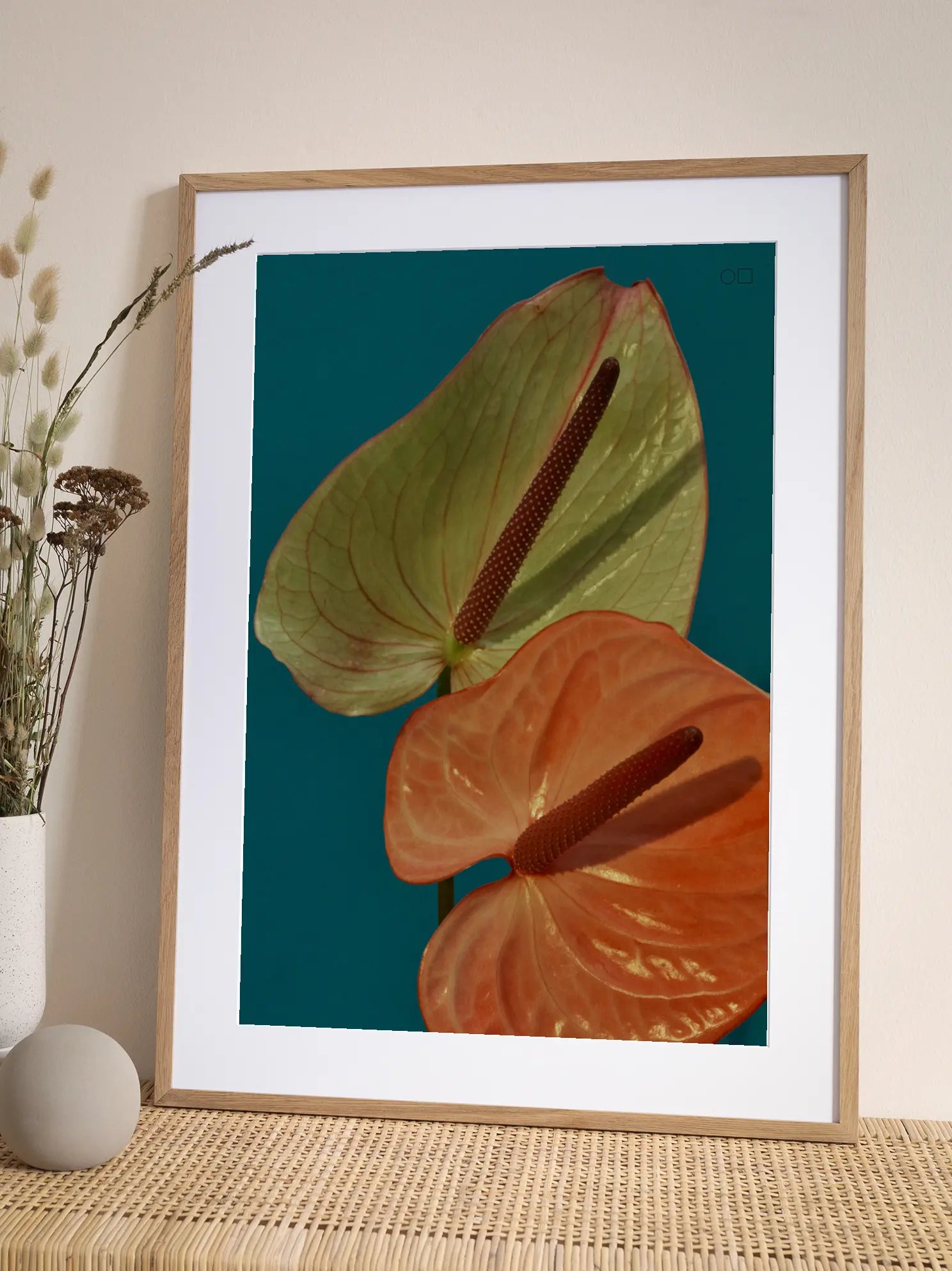 Anthurium Poster