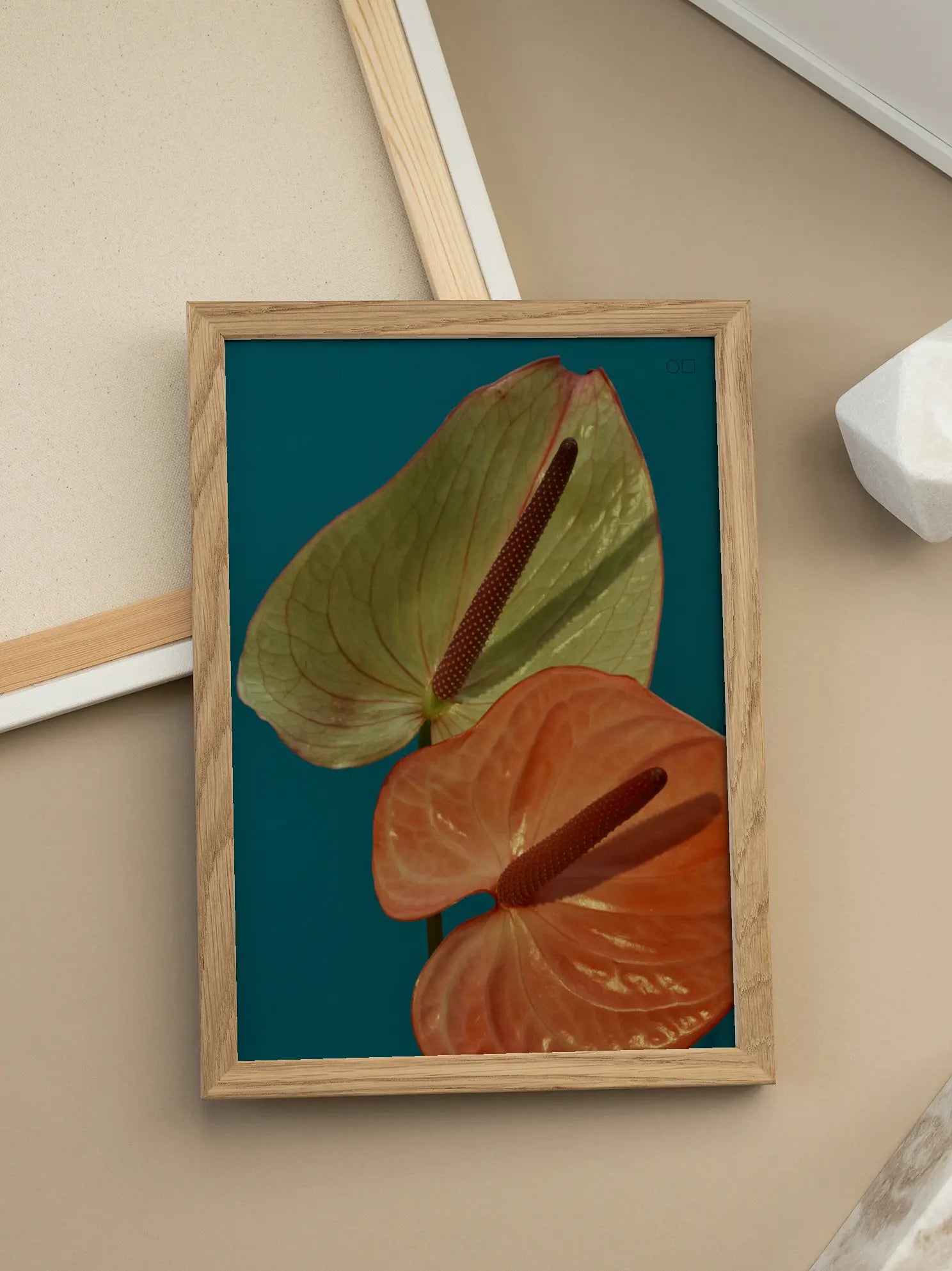 Anthurium Poster