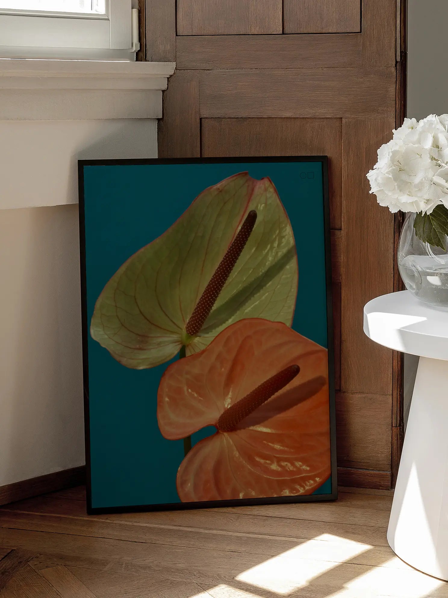 Anthurium Poster