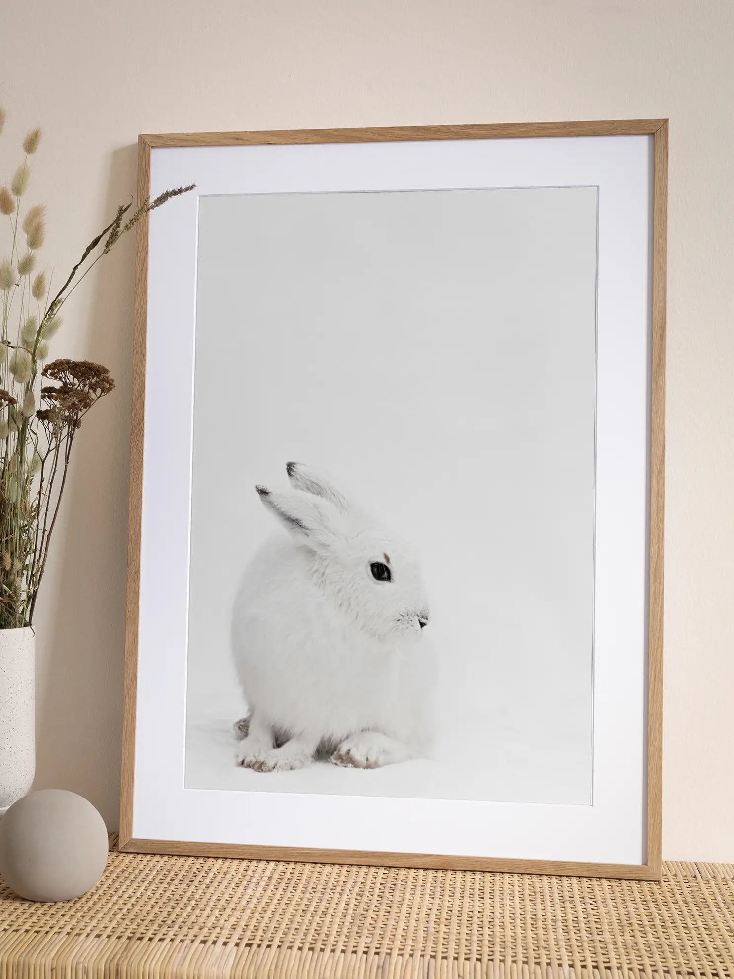 Arctic Hare Poster