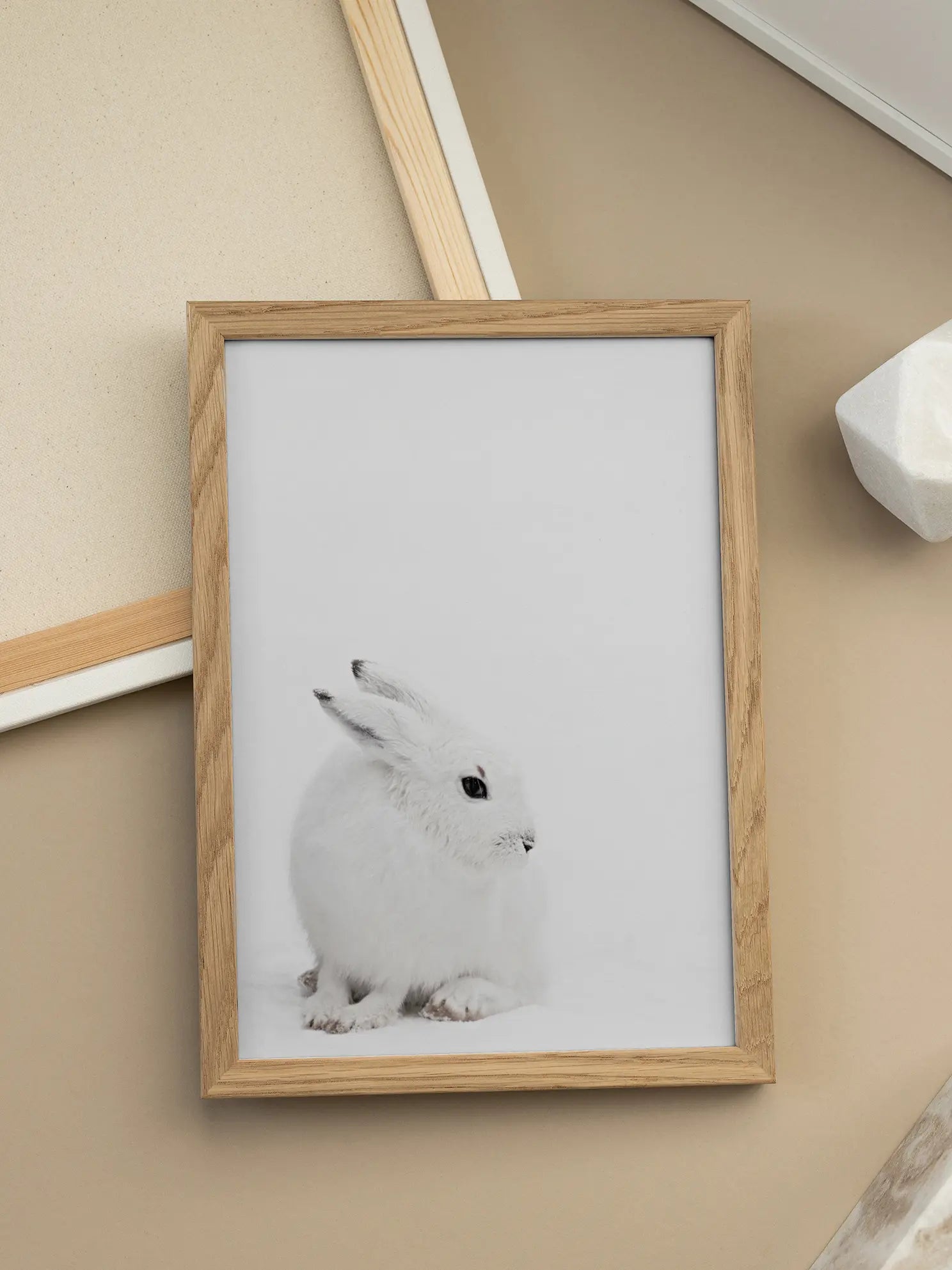 Arctic Hare Poster