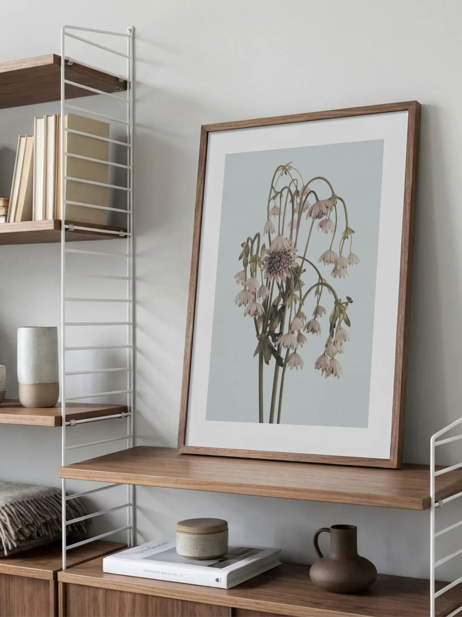 Astrantia Bouquet Poster