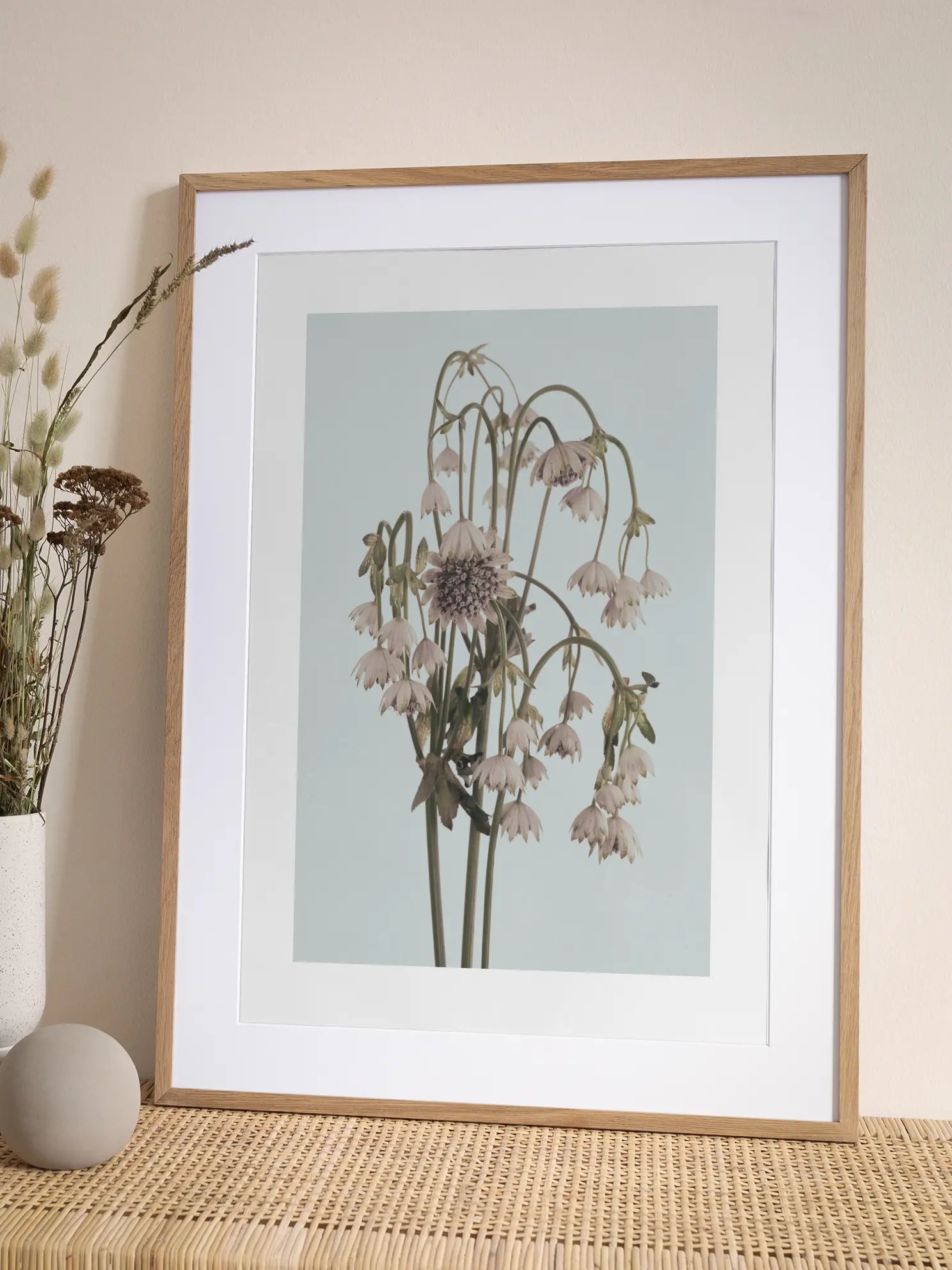 Astrantia Bouquet Poster