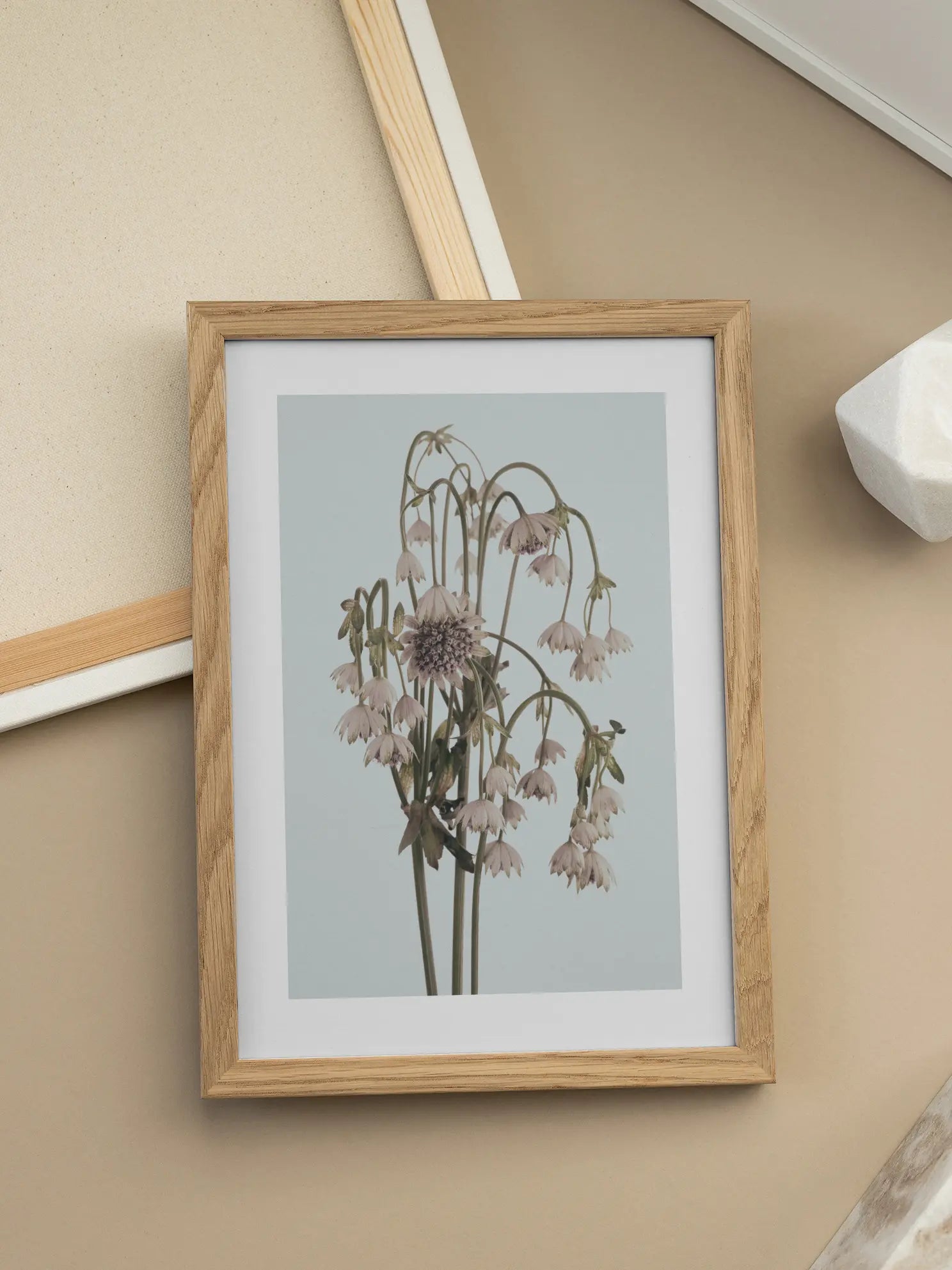 Astrantia Bouquet Poster