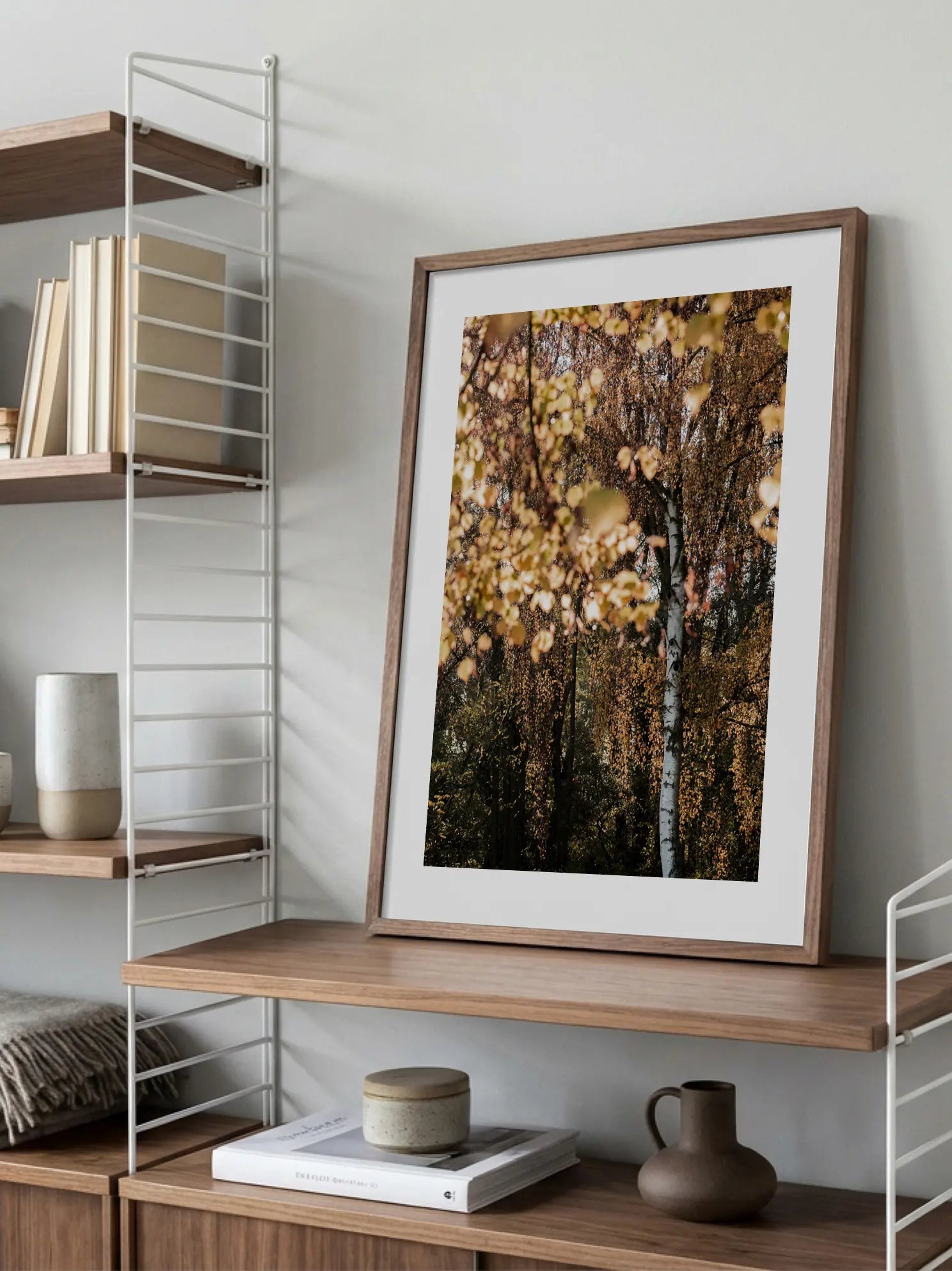 Autumn Birch Poster