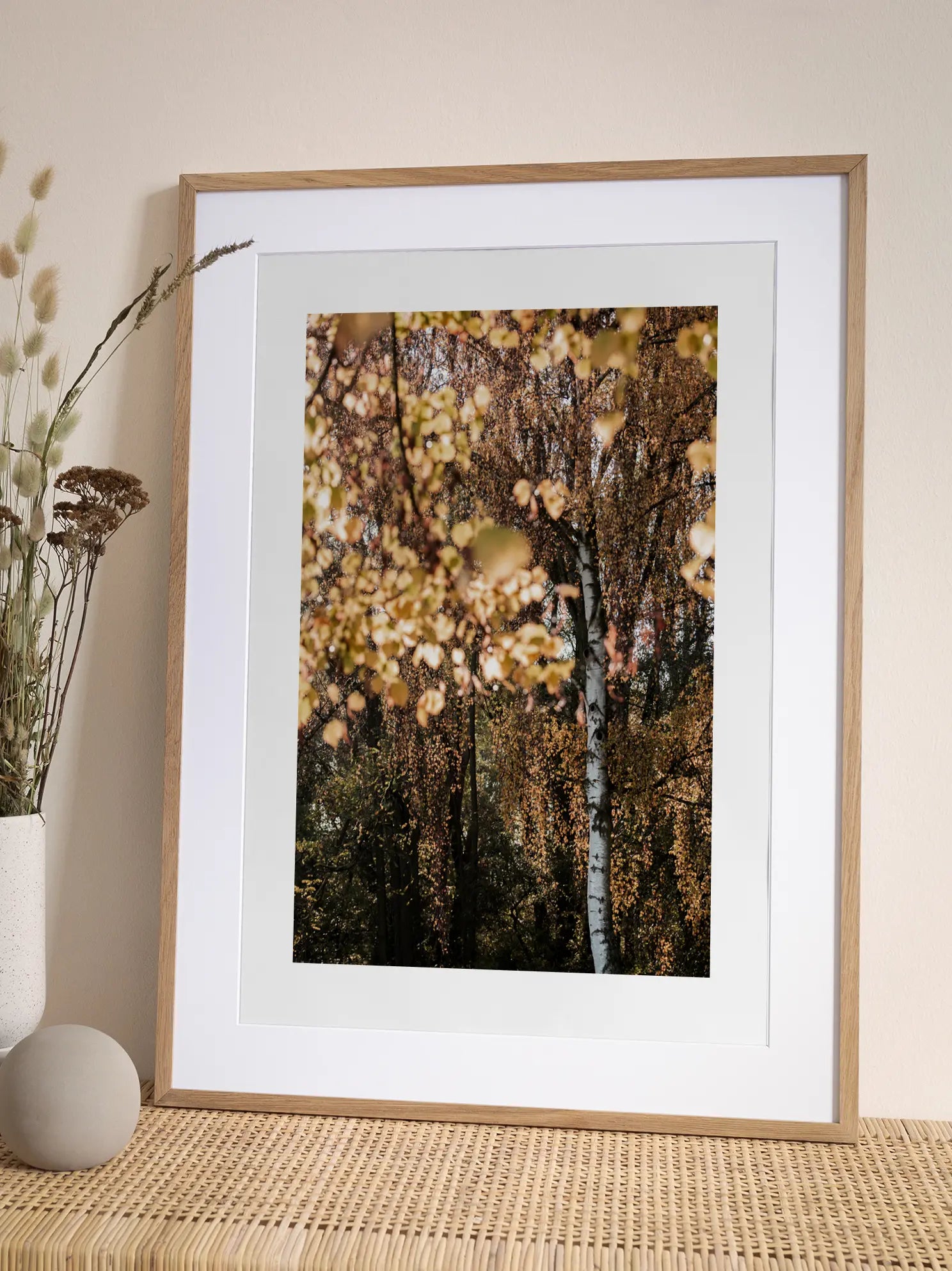 Autumn Birch Poster