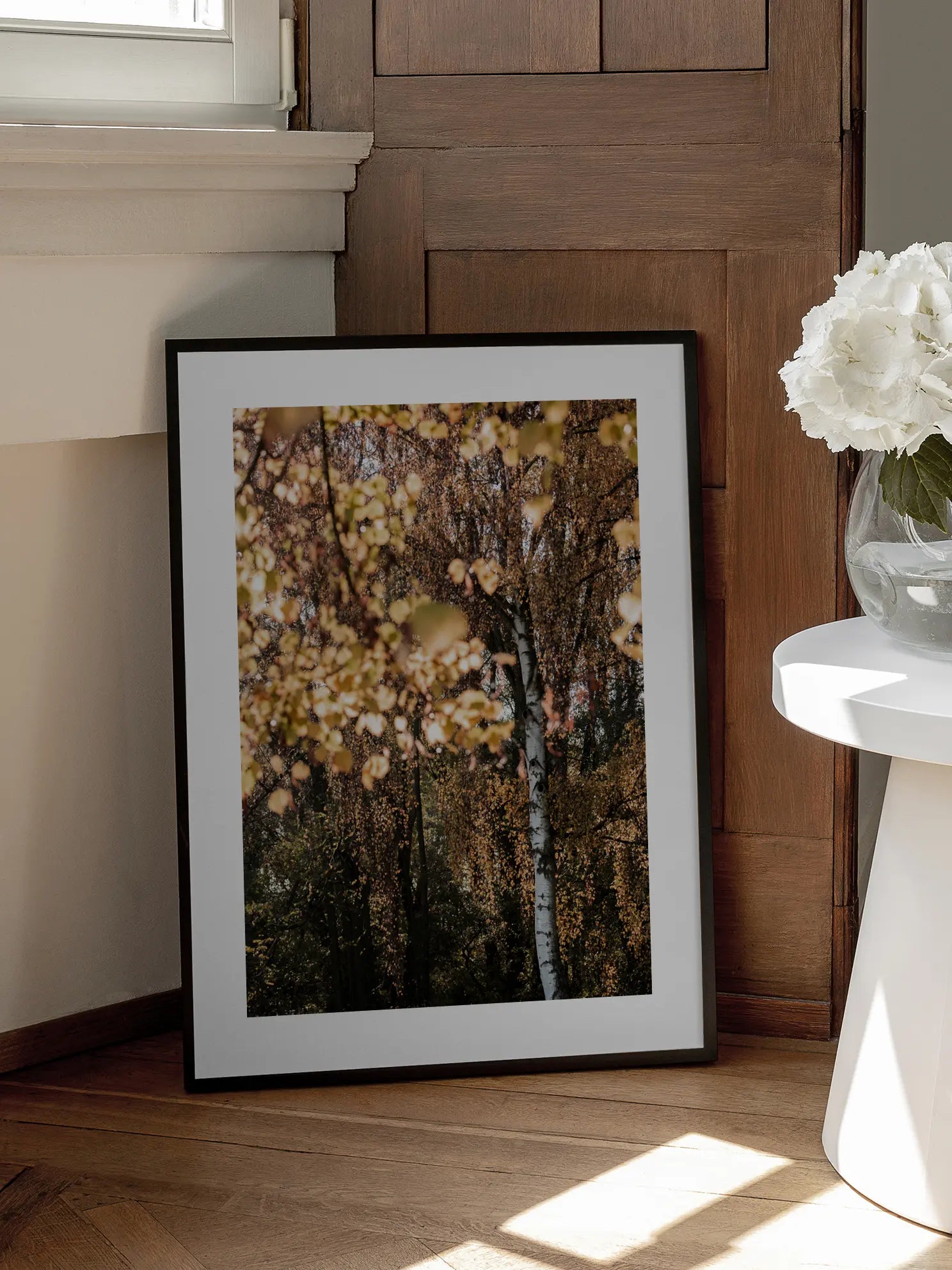 Autumn Birch Poster