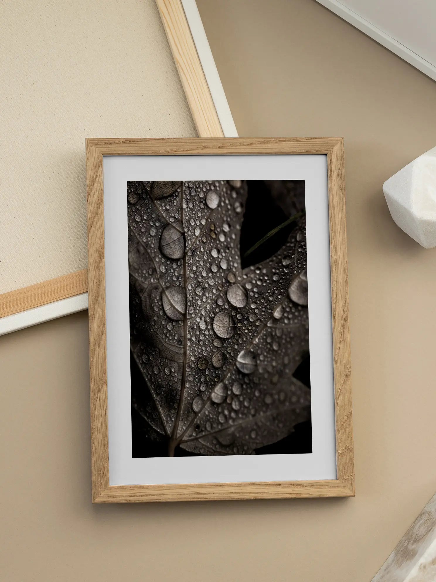 Autumn Leaf Poster