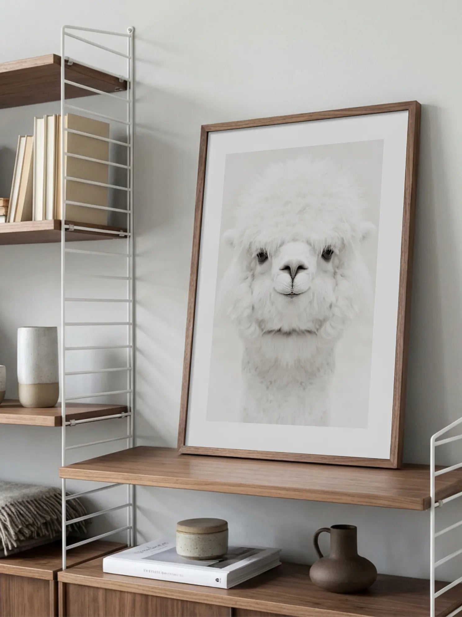 Baby Alpaca Poster