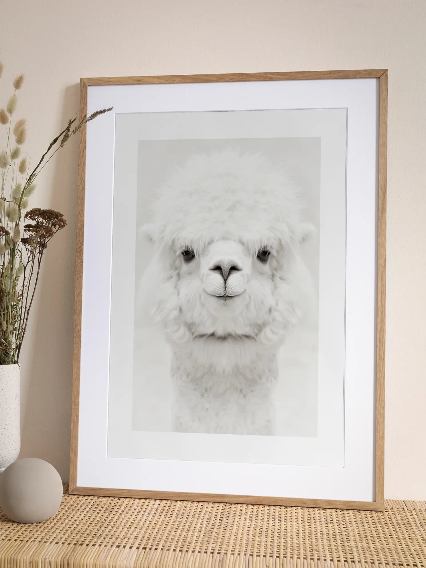 Baby Alpaca Poster