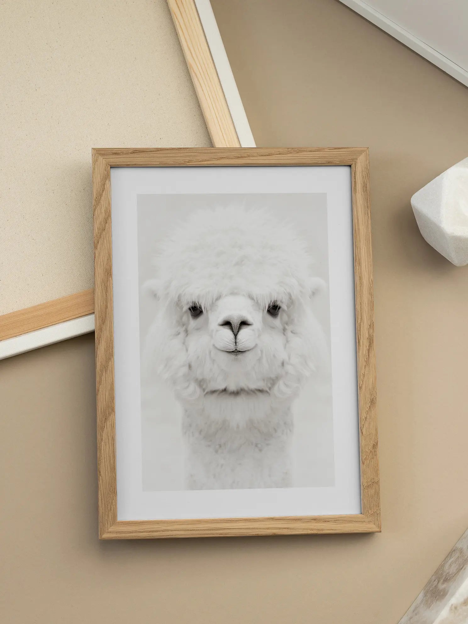 Baby Alpaca Poster