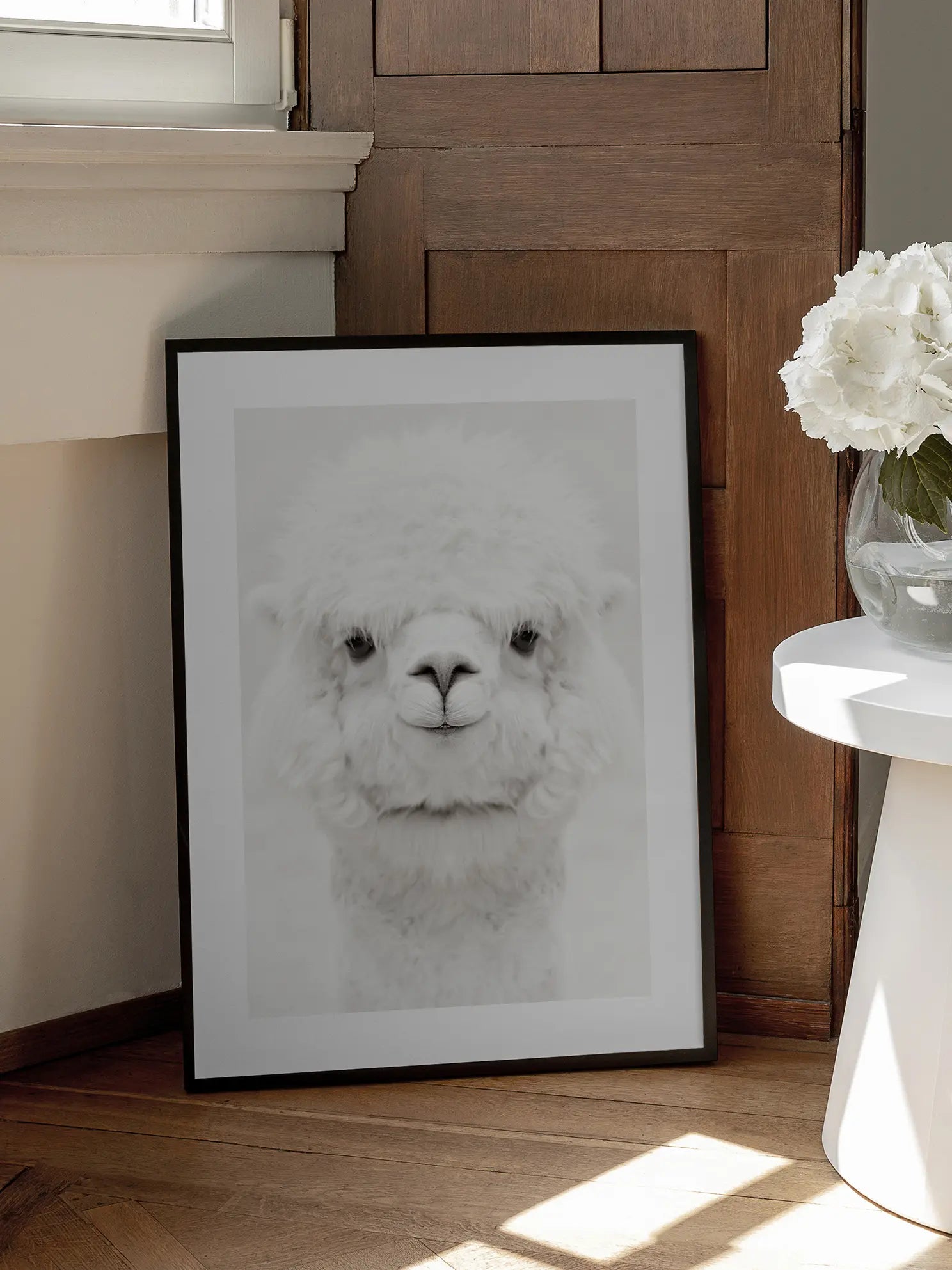 Baby Alpaca Poster