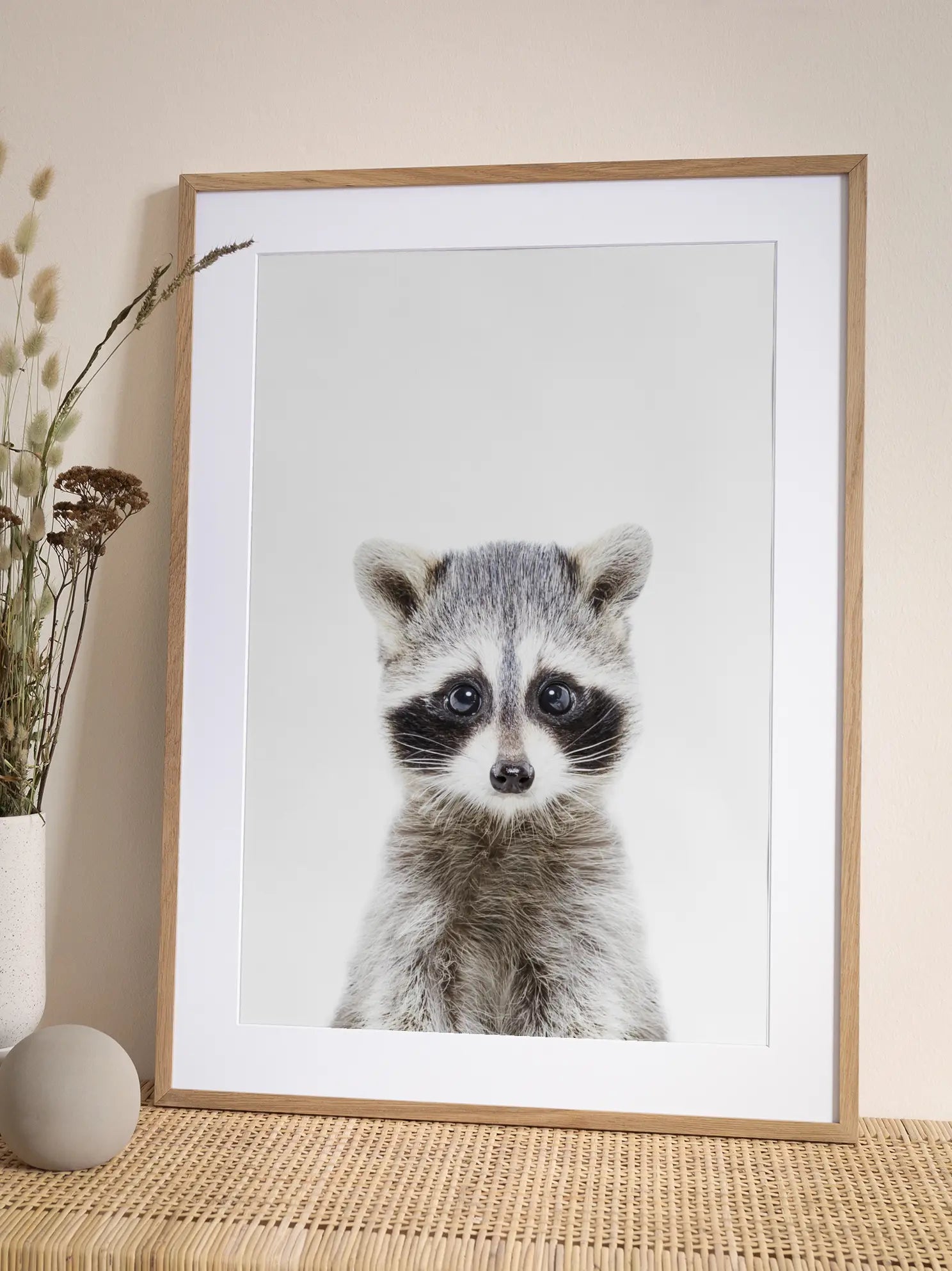 Baby Racoon Poster