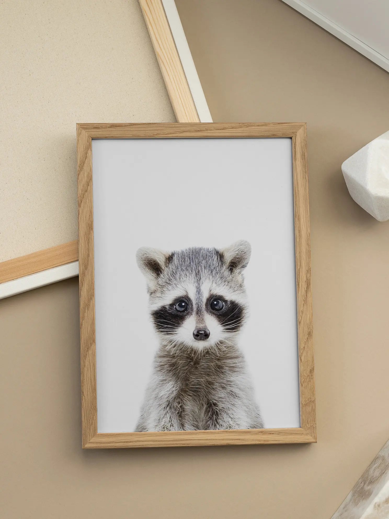 Baby Racoon Poster