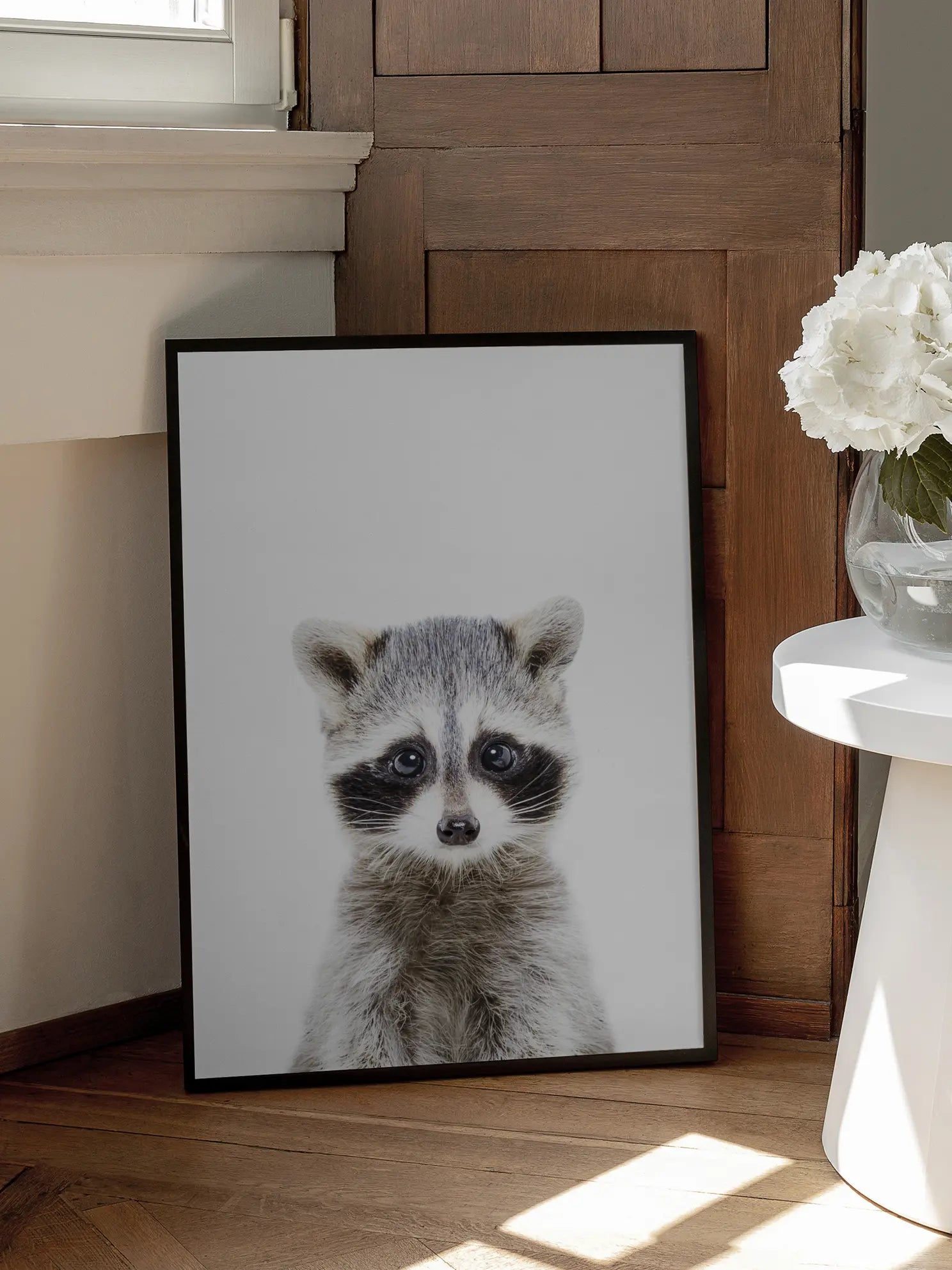 Baby Racoon Poster