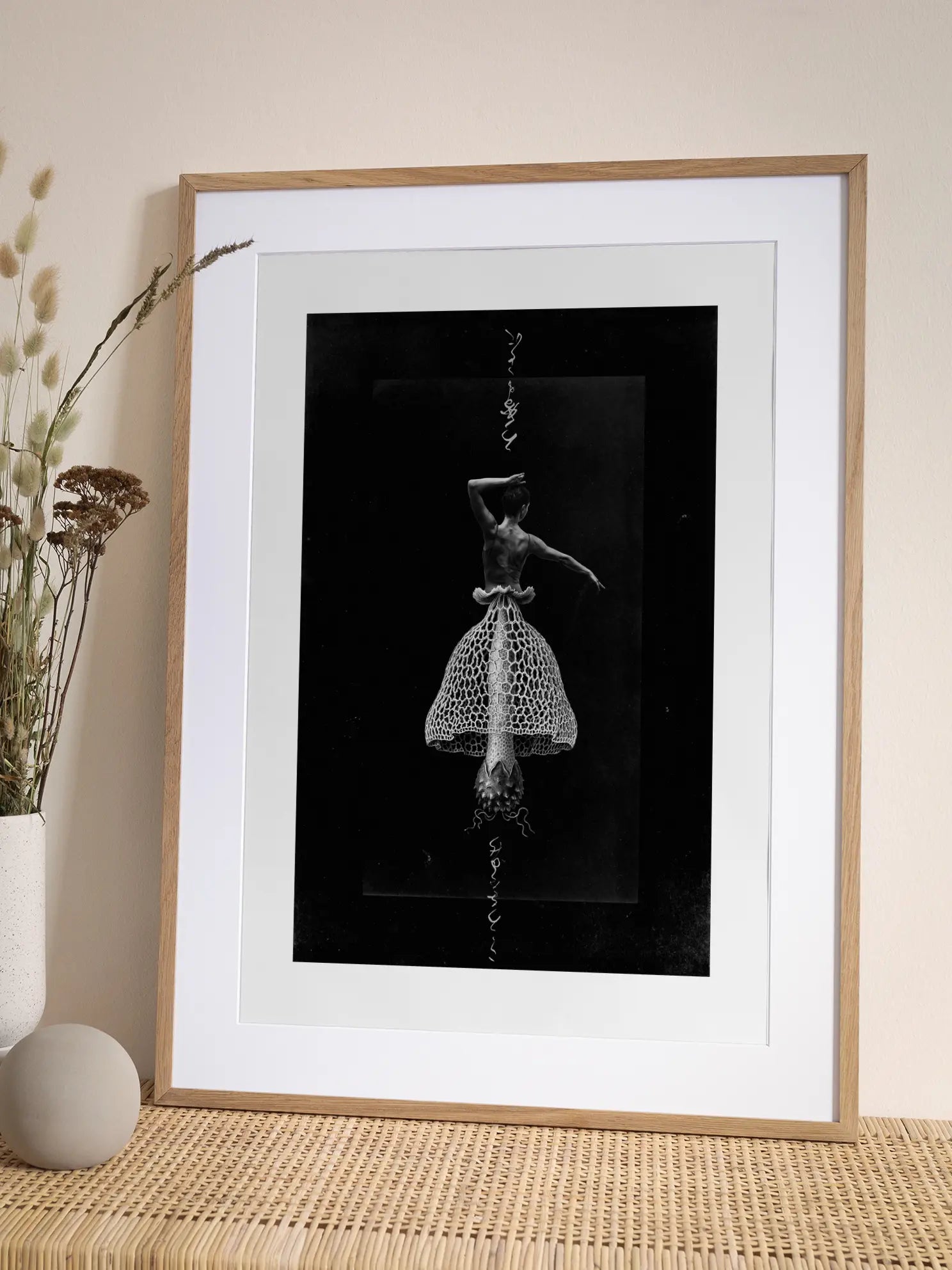 Balletomycota Poster