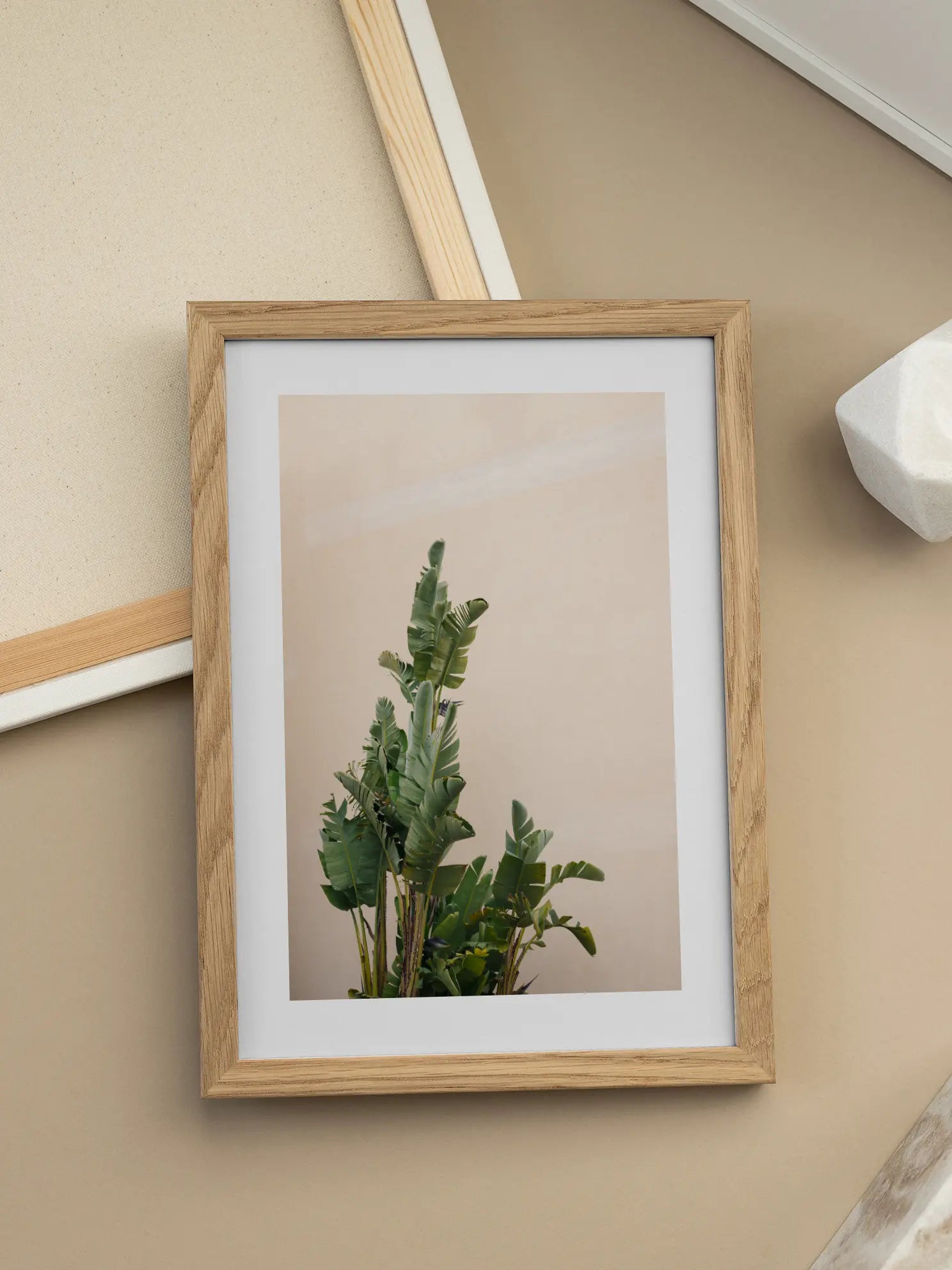 Banana Leaves 1 Poster