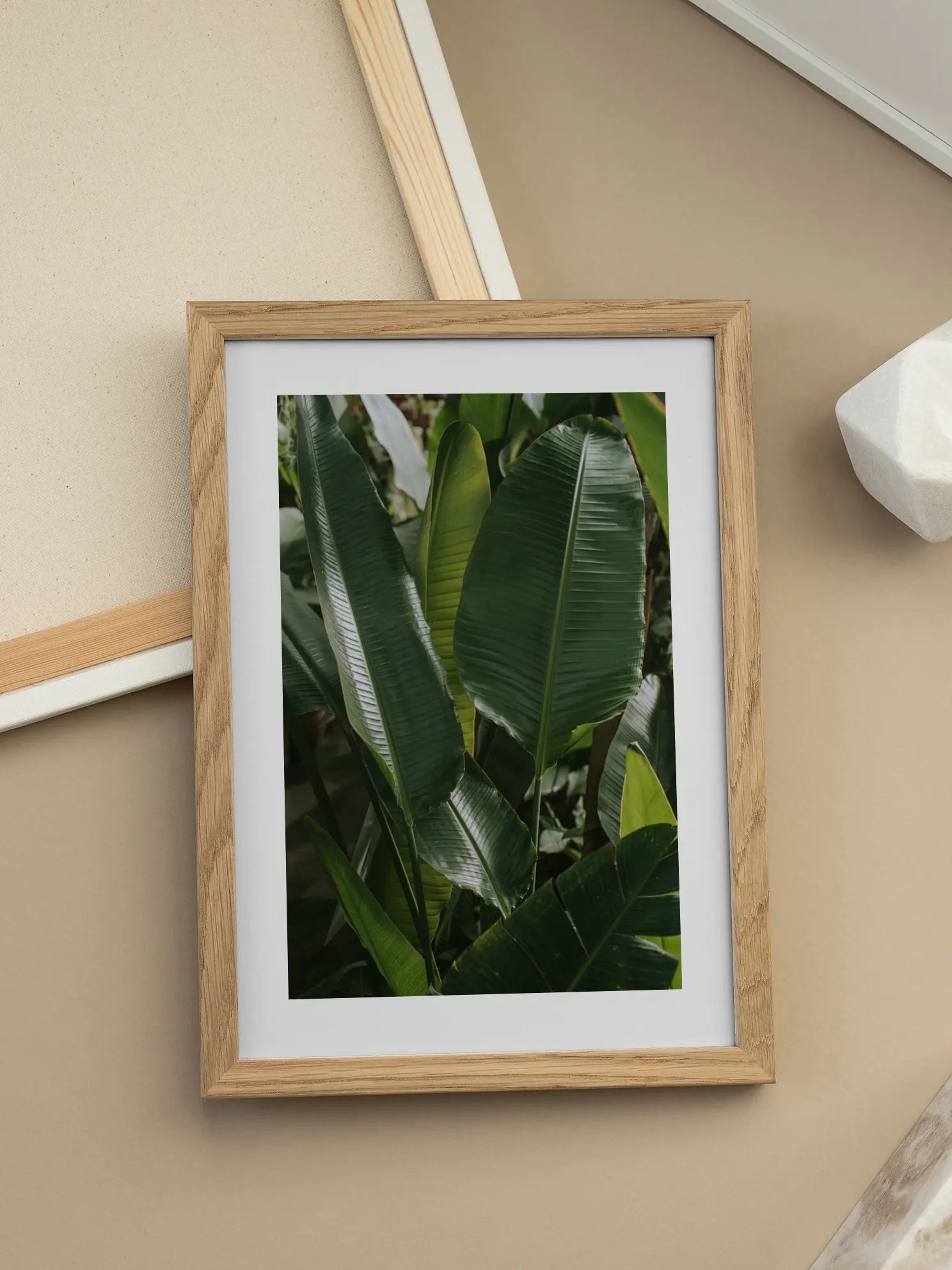 Banana Leaves 4 Poster