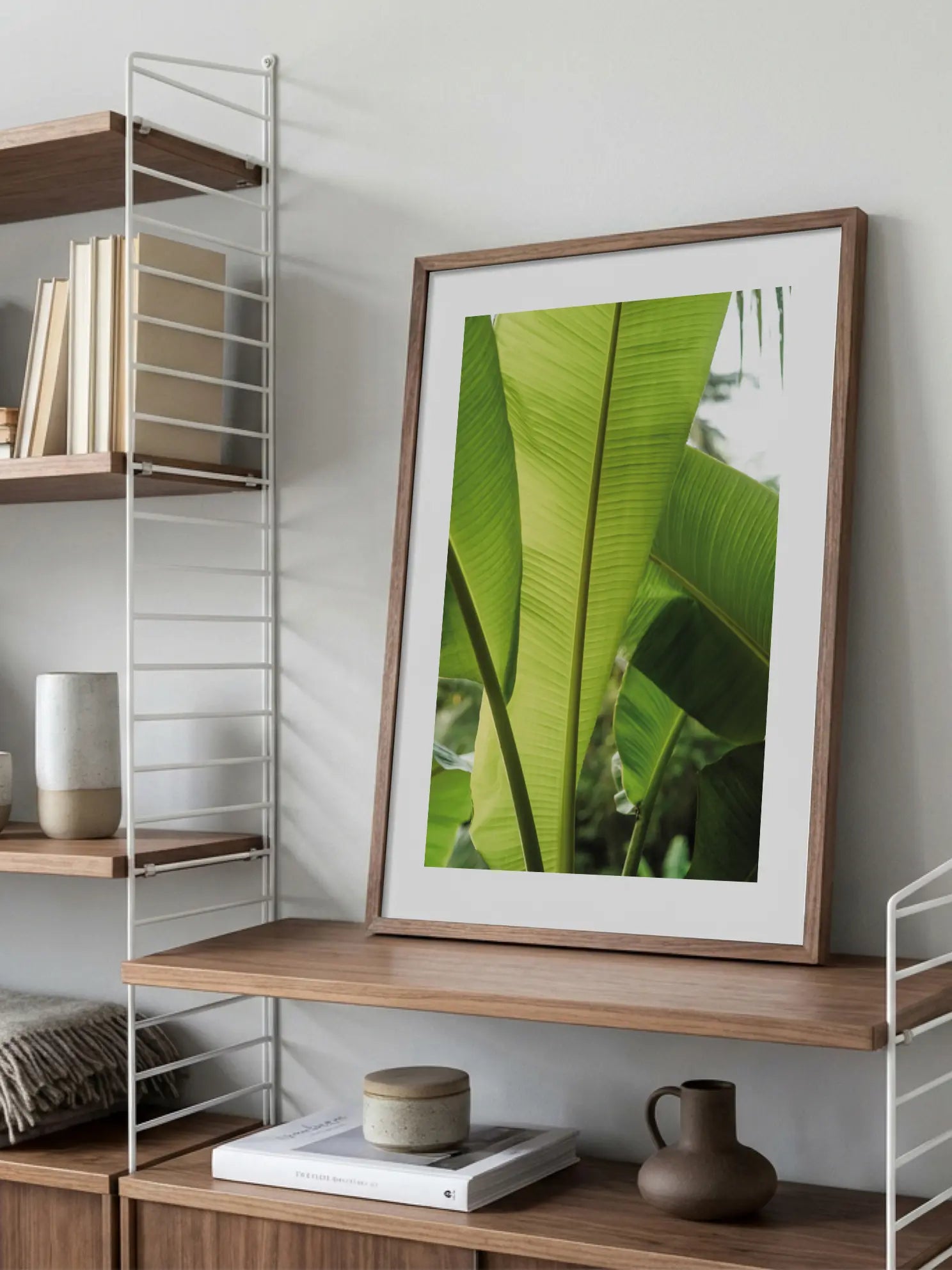 Banana Plant Poster