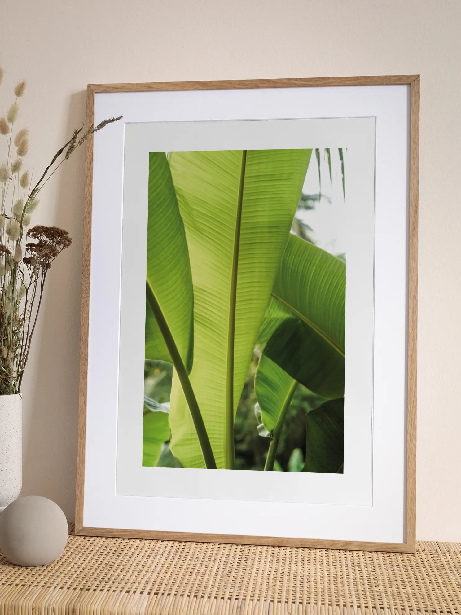 Banana Plant Poster