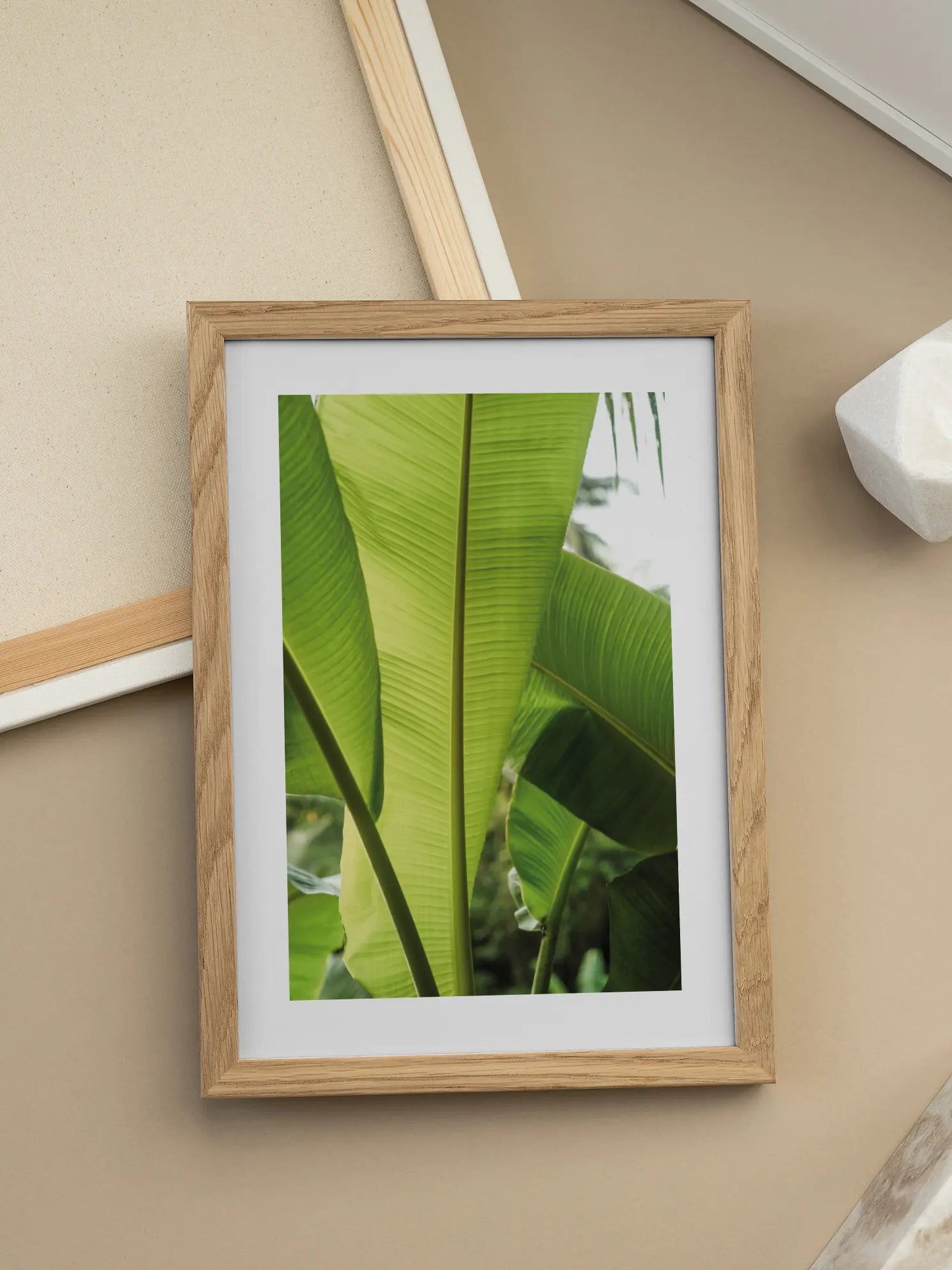 Banana Plant Poster