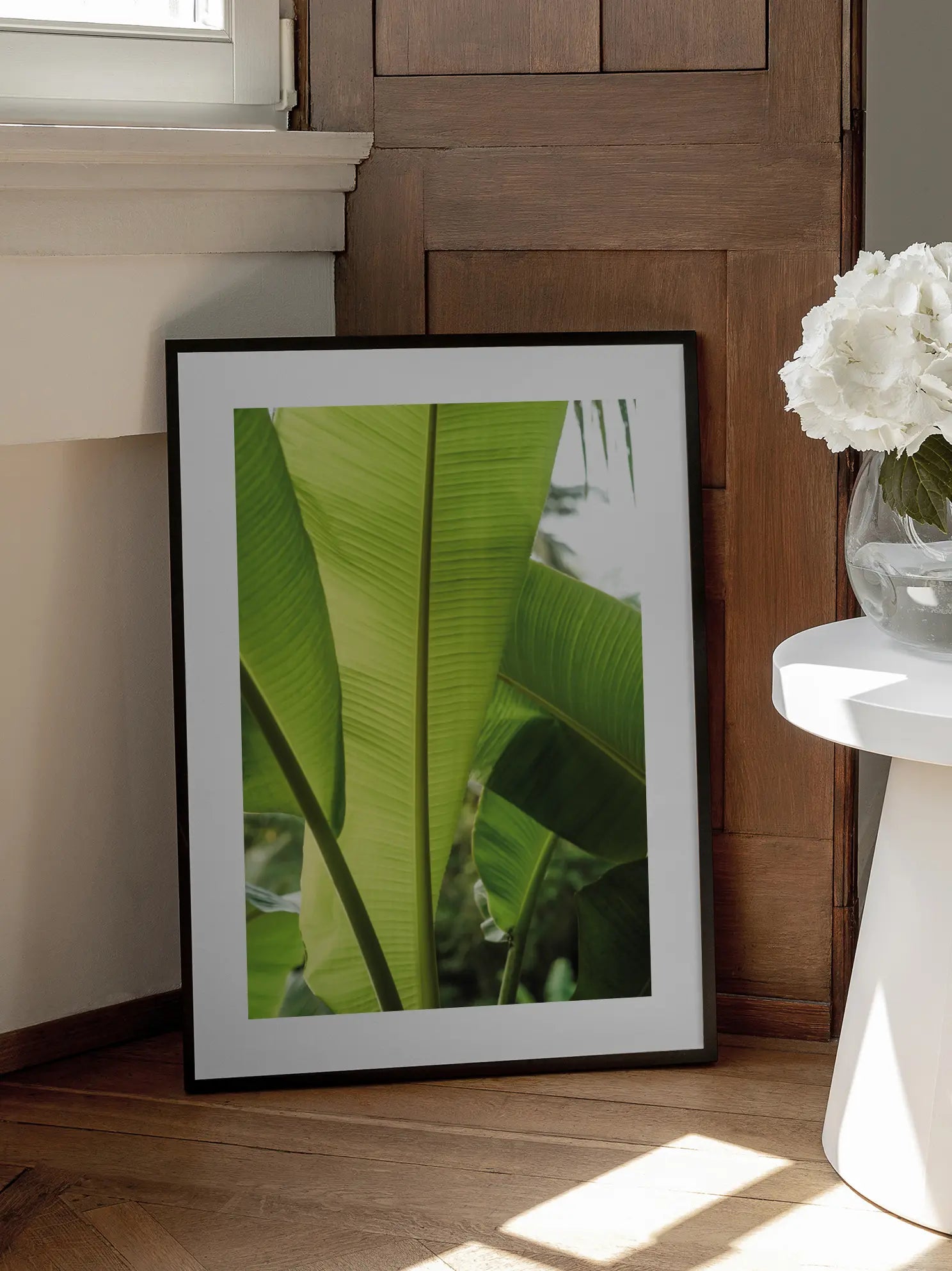 Banana Plant Poster
