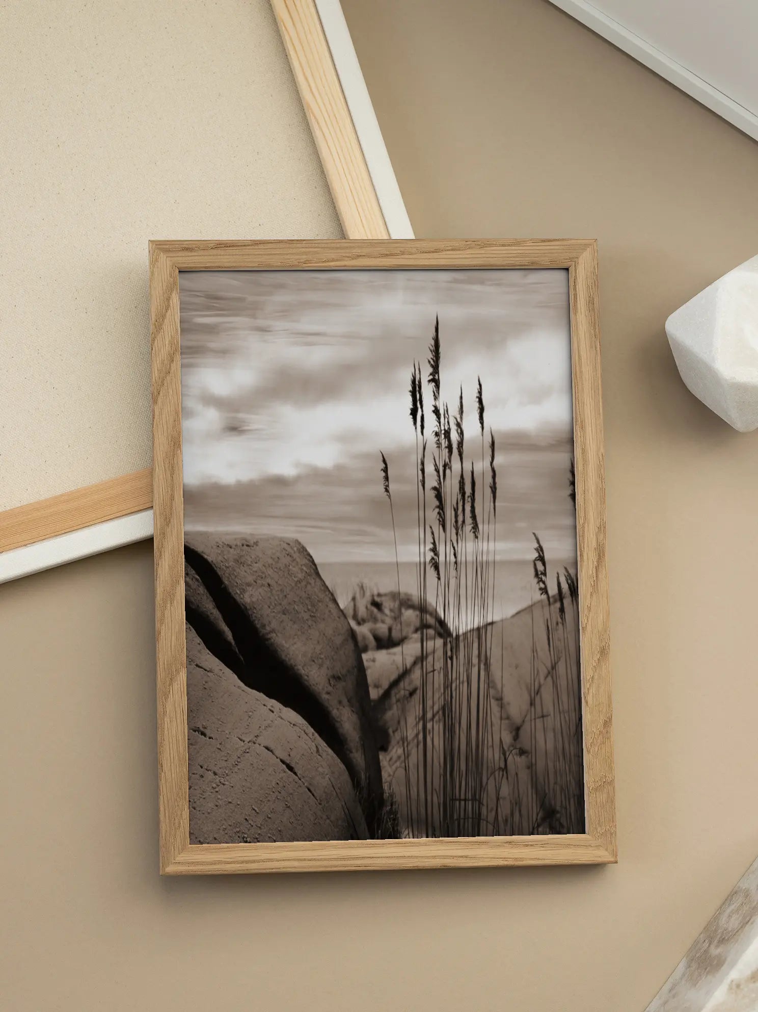 Beach Reed Poster