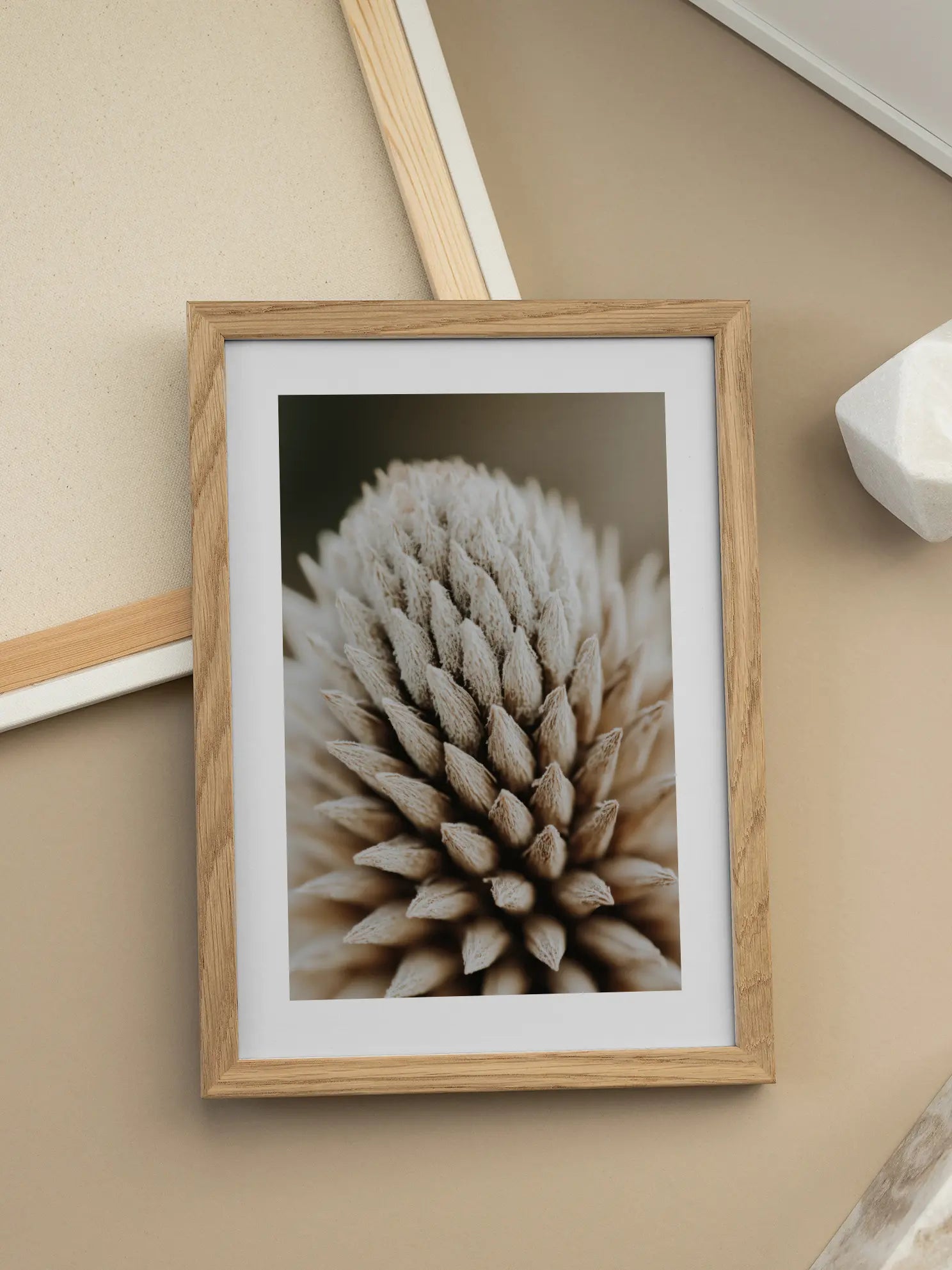 Beige Botanical Close Up Poster